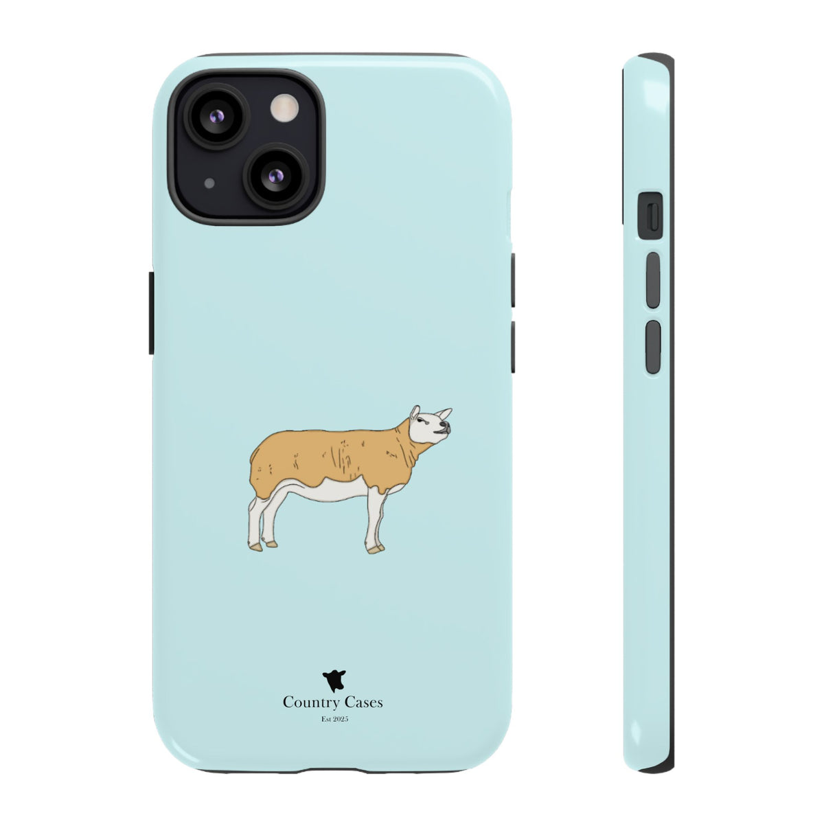 Texal Case