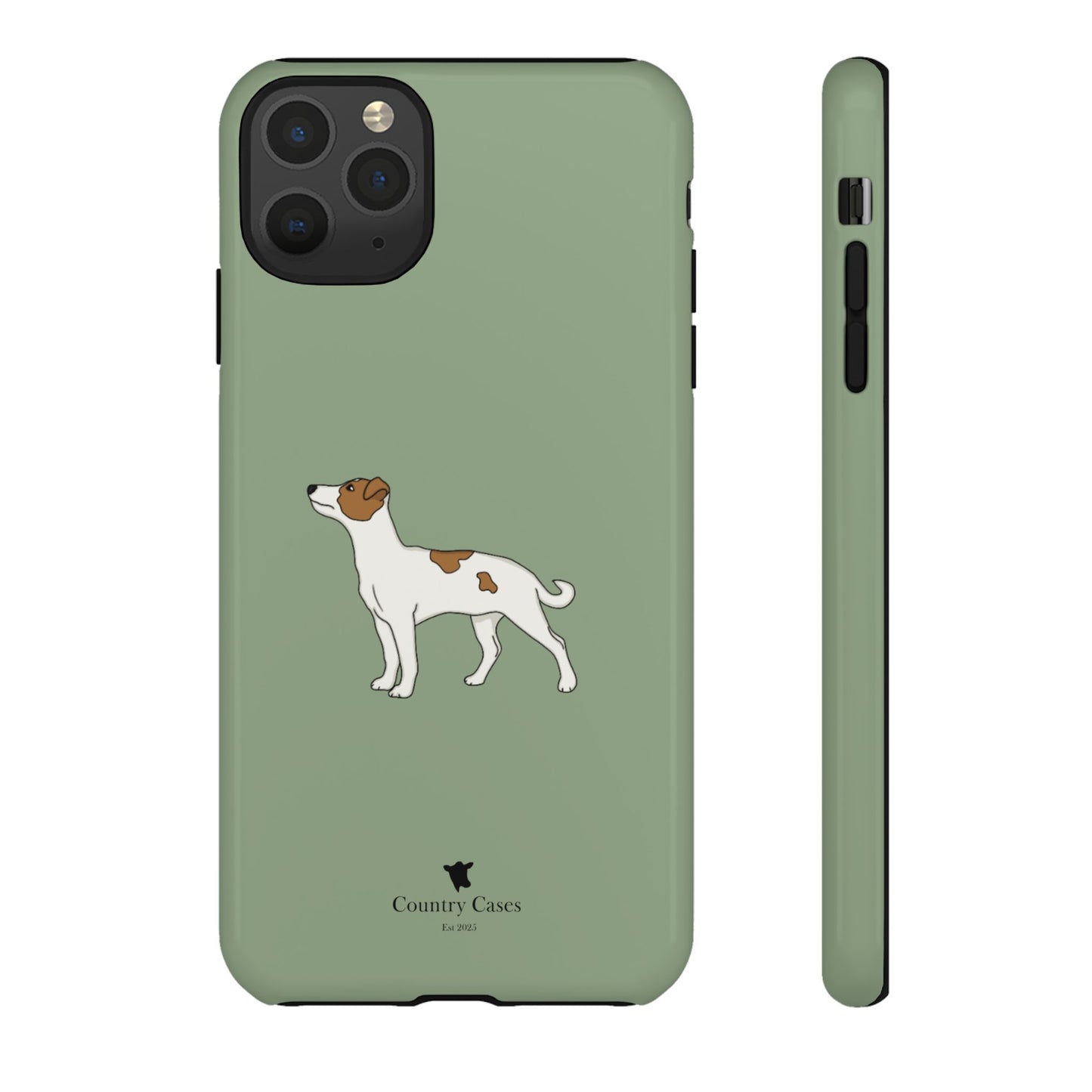 Jack Russell terrier case