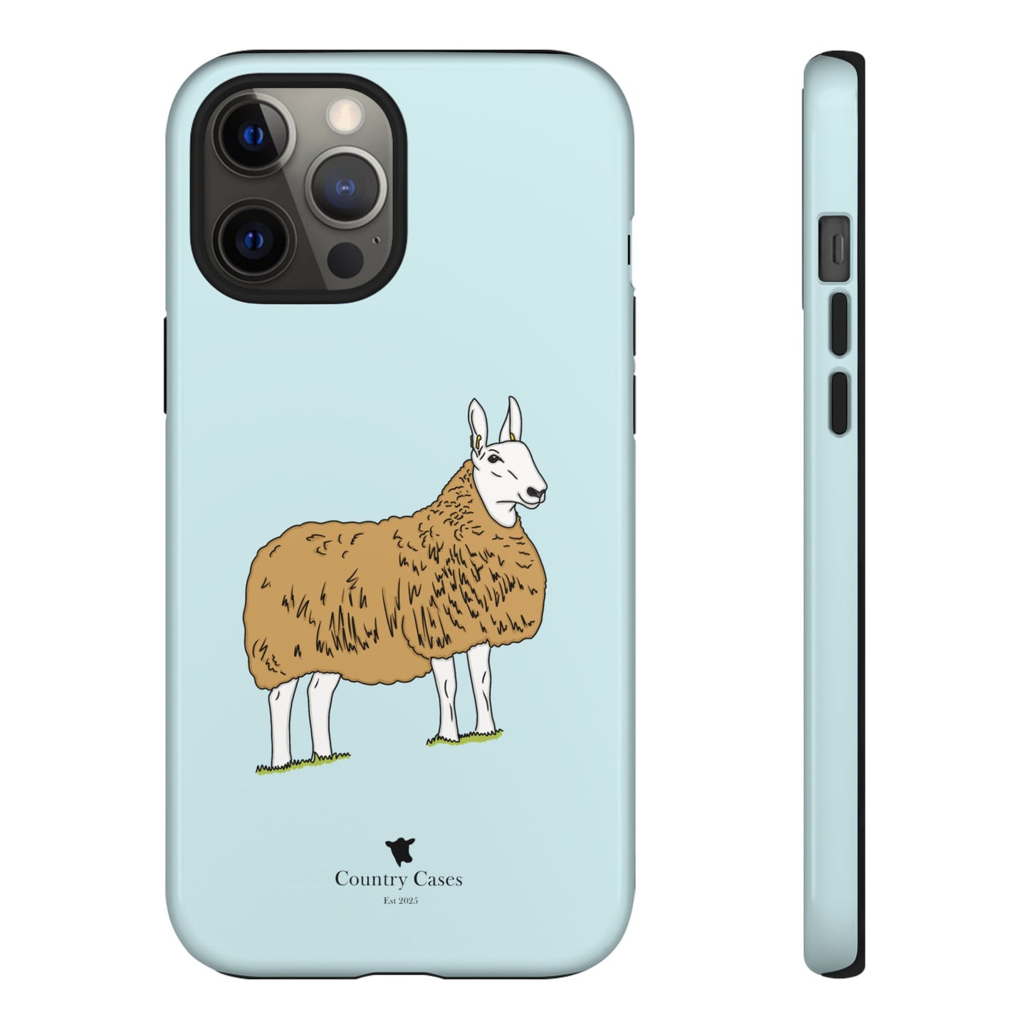 Border Leicester case