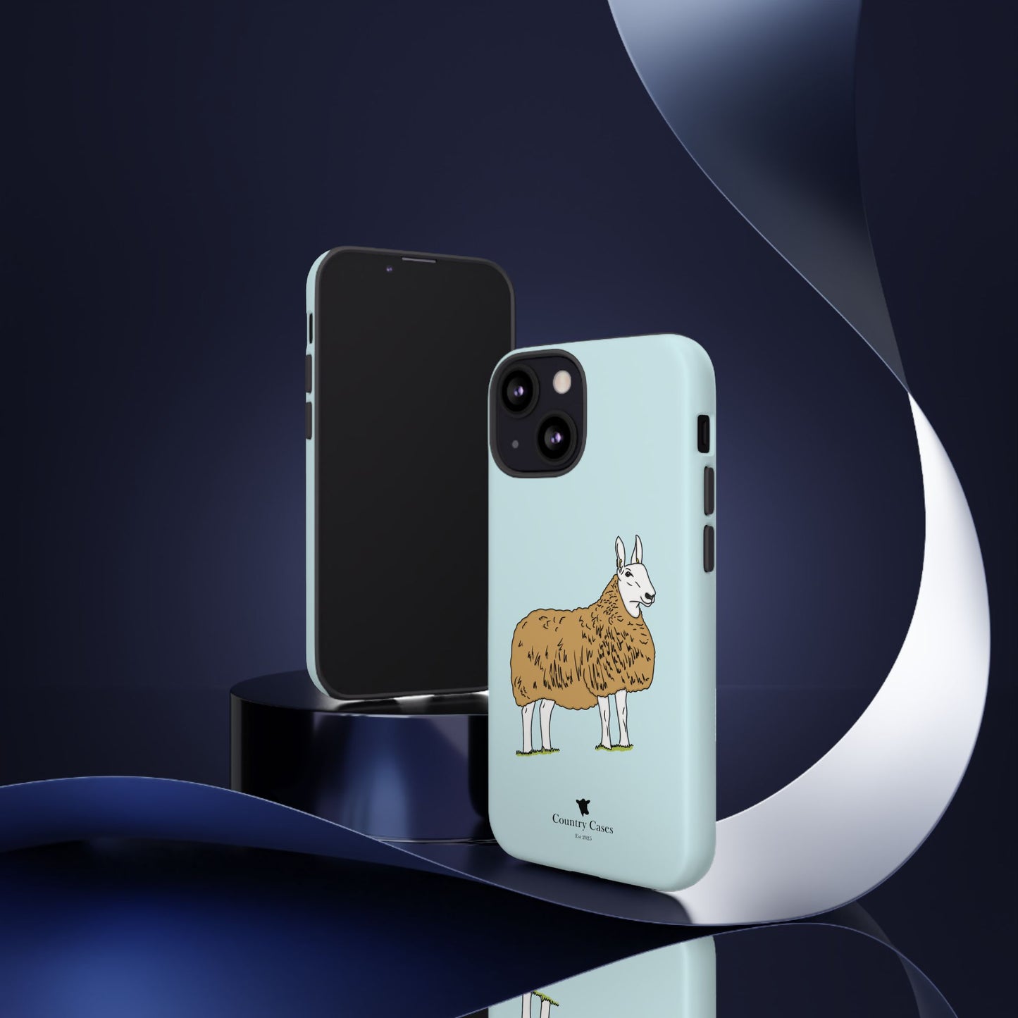 Border Leicester case