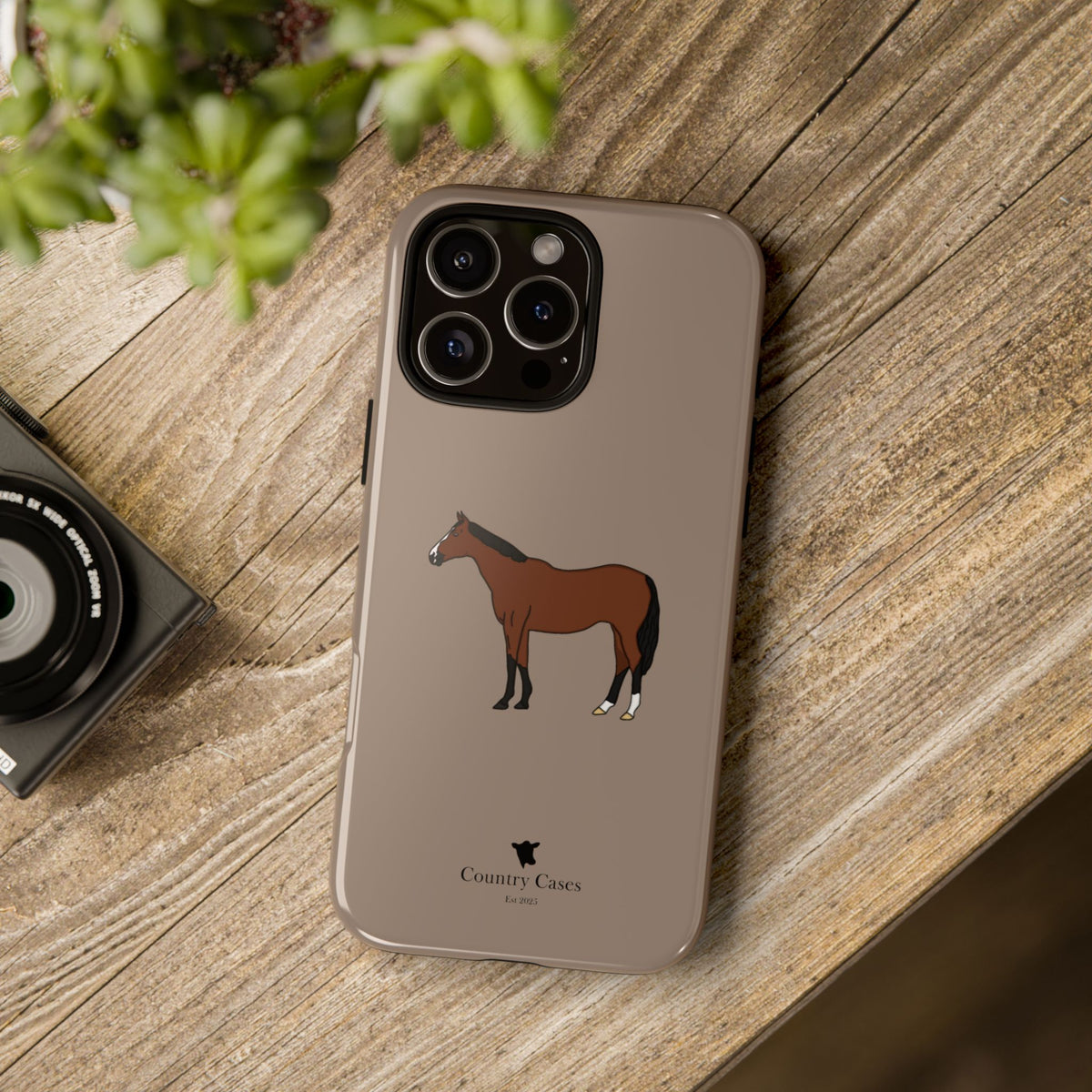 Bay Horse Case