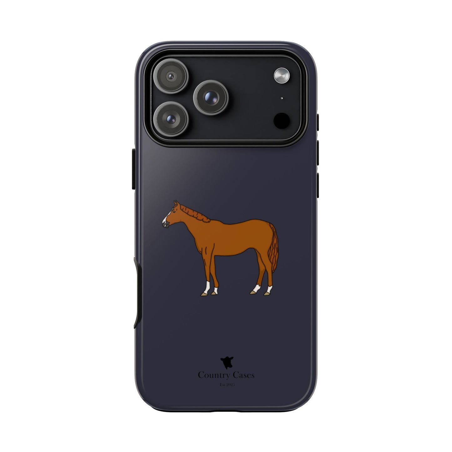 Chestnut horse case