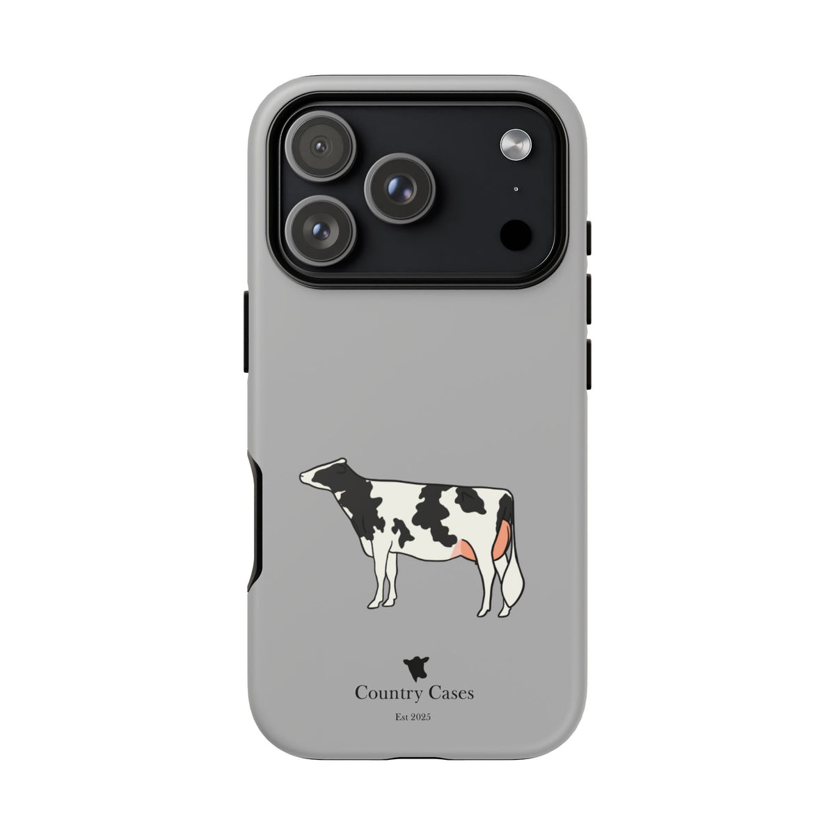 Black Holstein Case