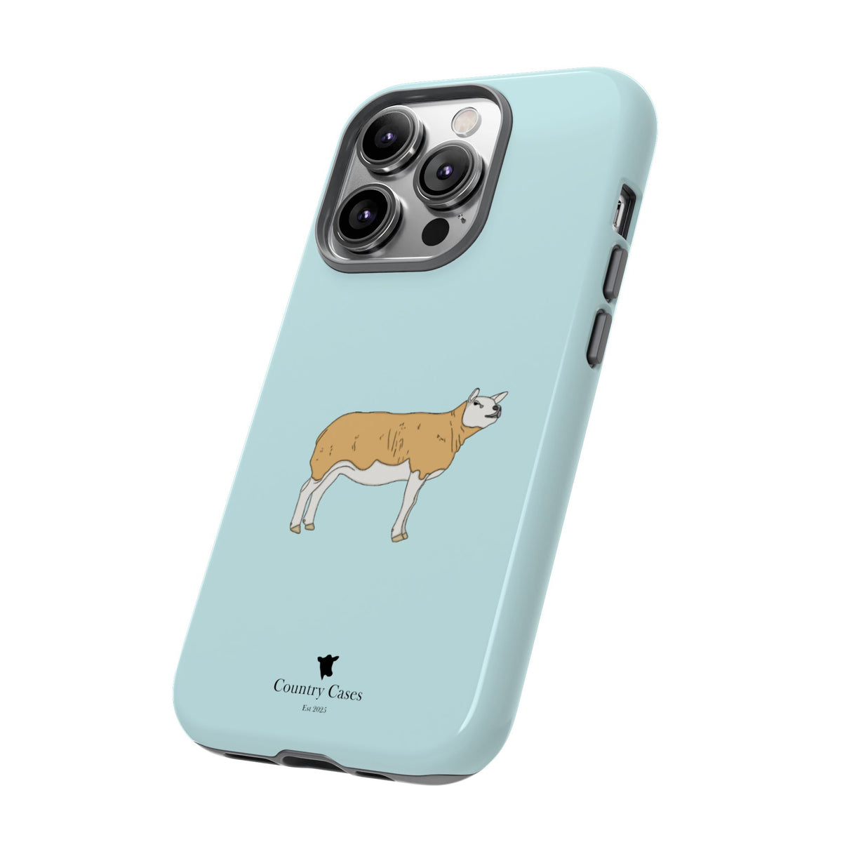 Texal Case