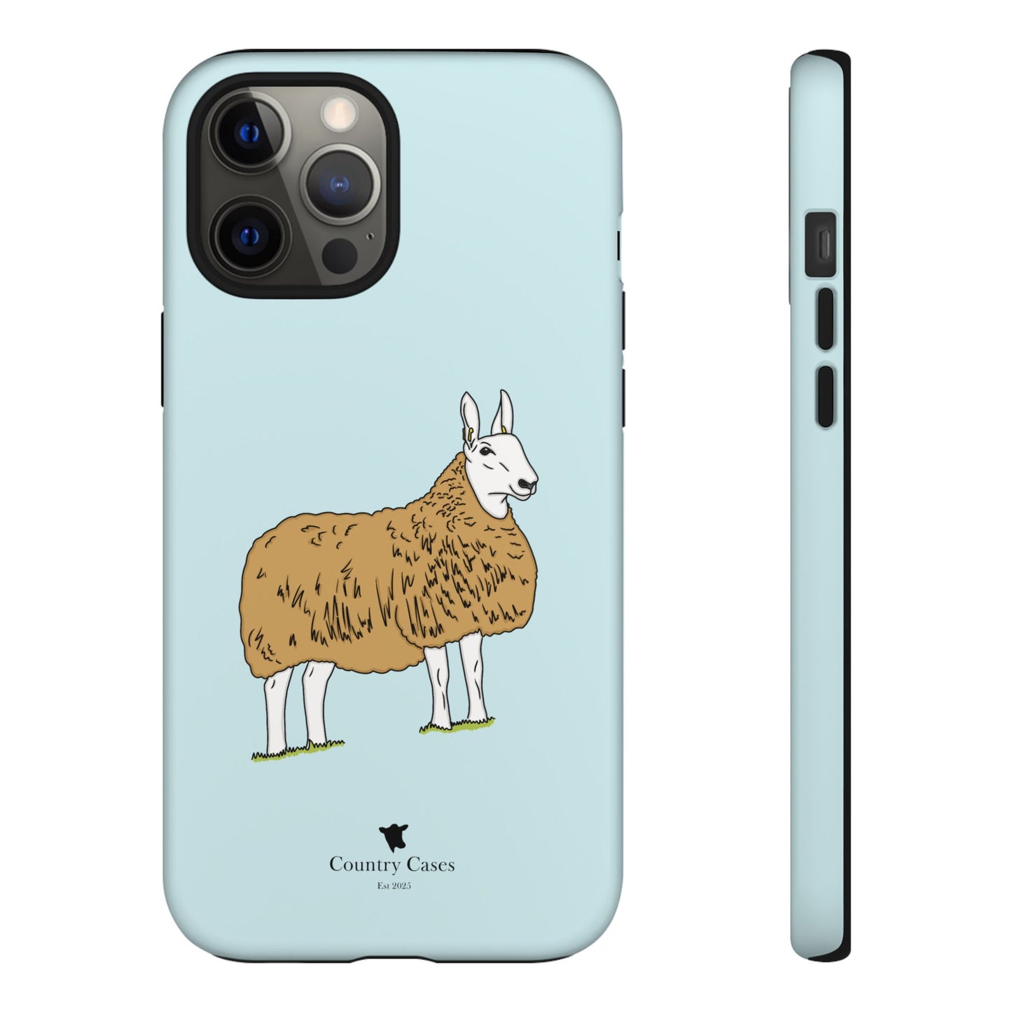 Border Leicester case