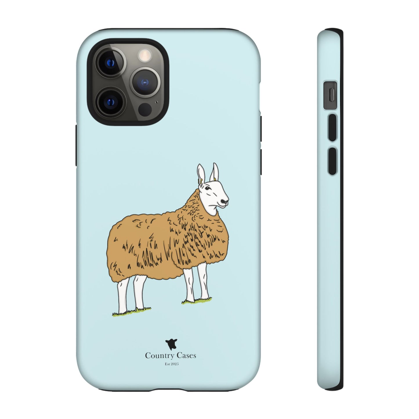 Border Leicester case