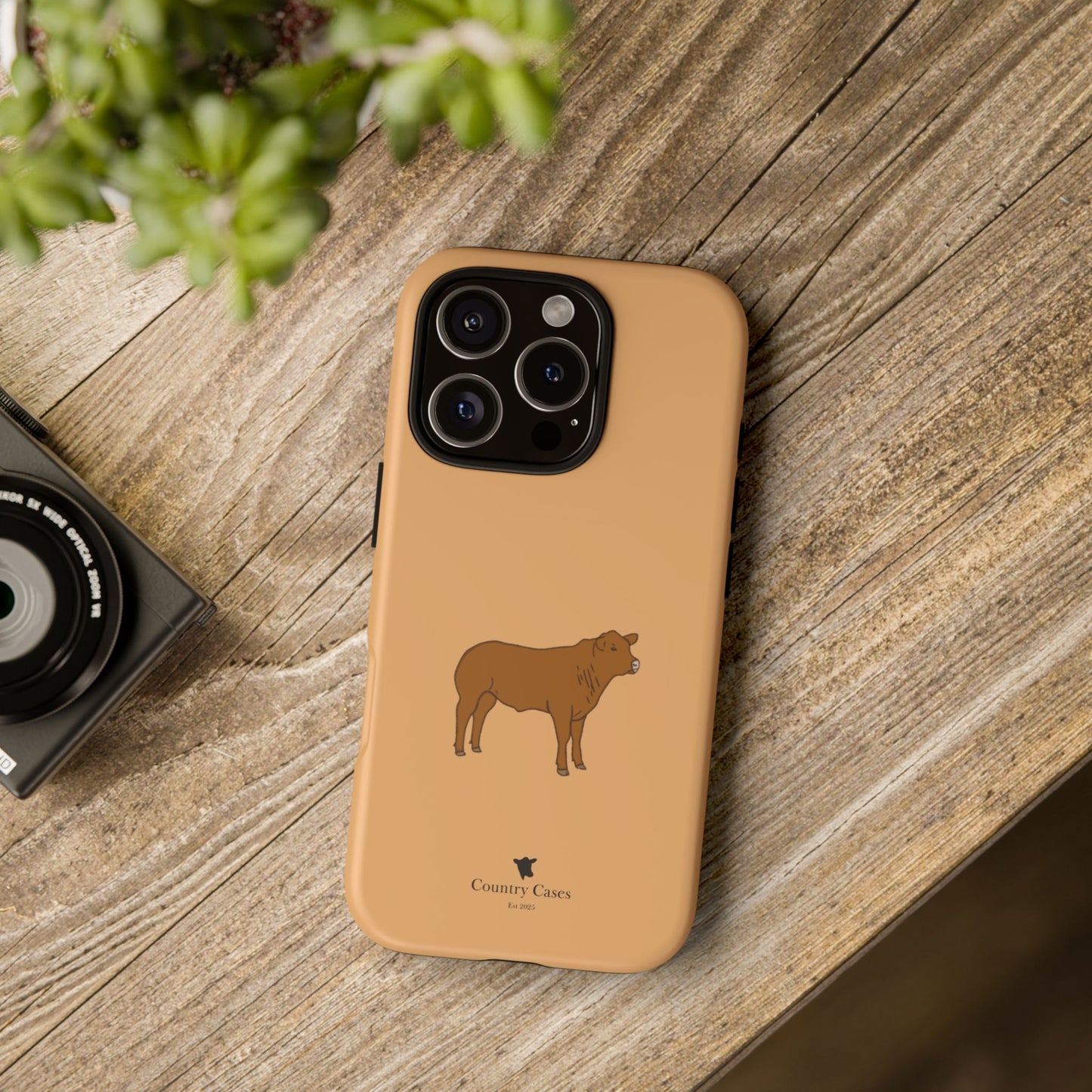 Beef Cow Case