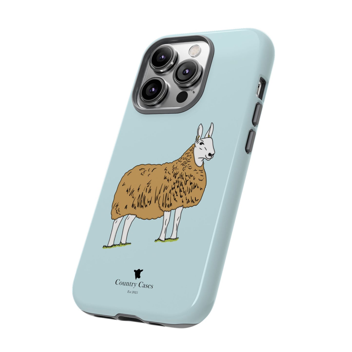 Border Leicester case