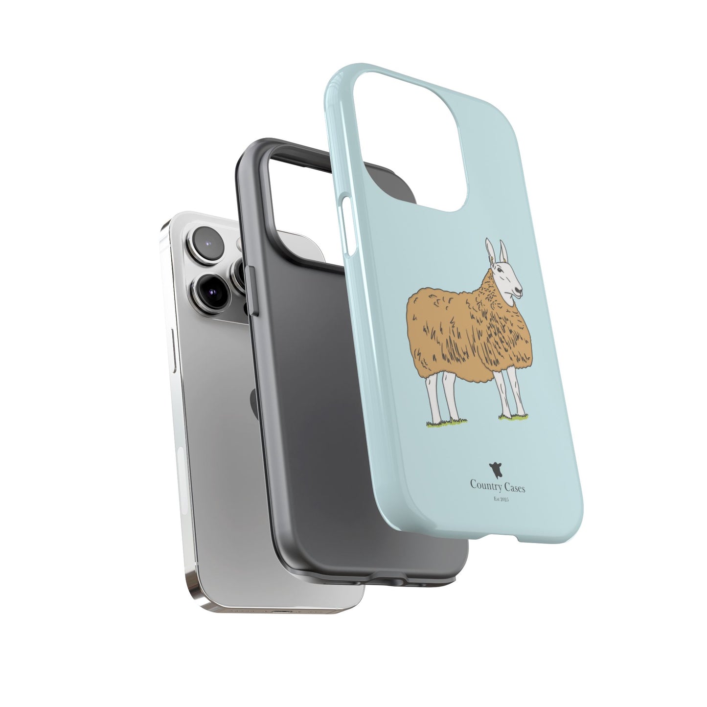 Border Leicester case