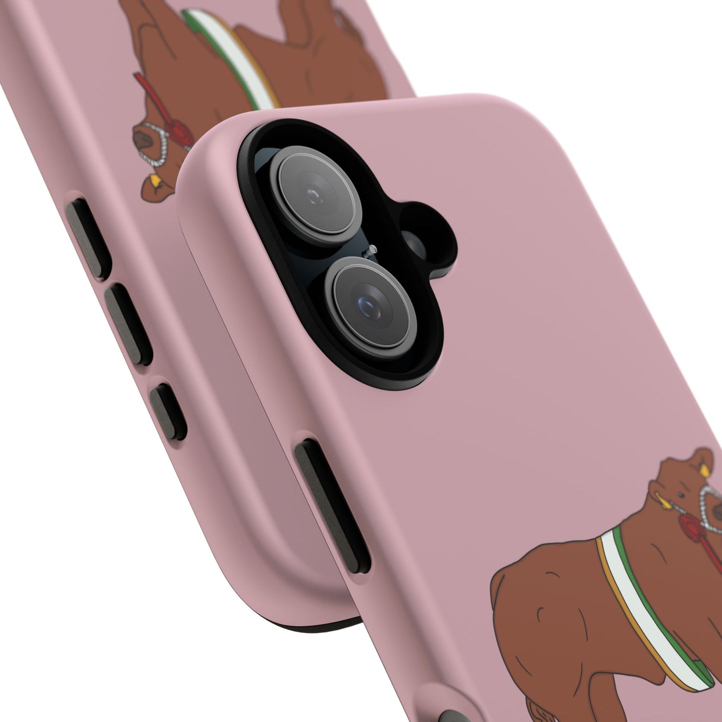 Saoirse Custom Case