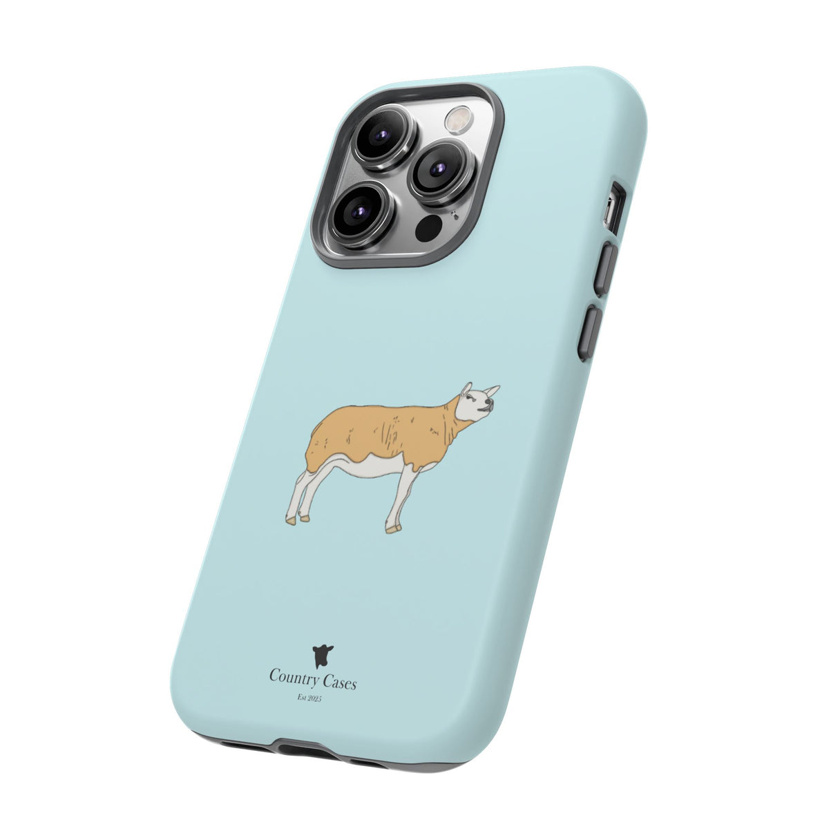 Texal Case