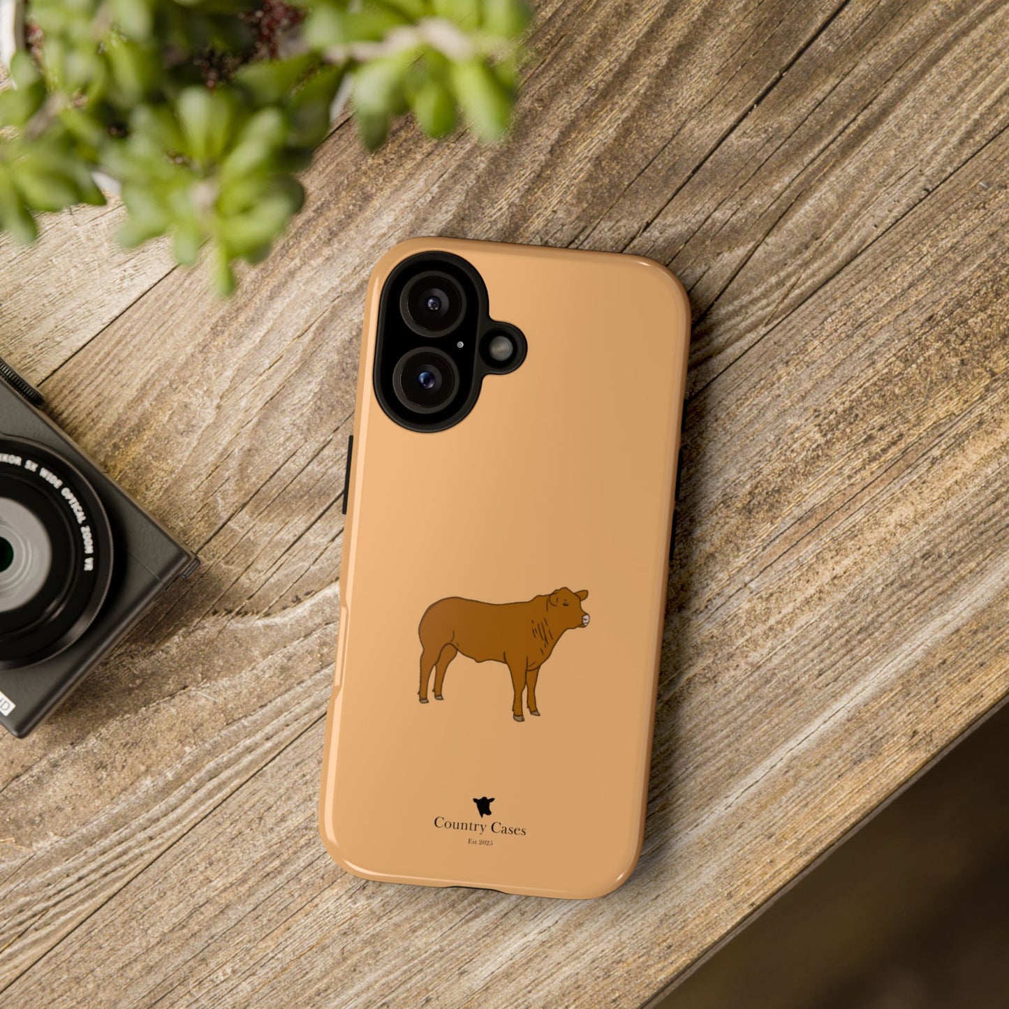 Beef Cow Case