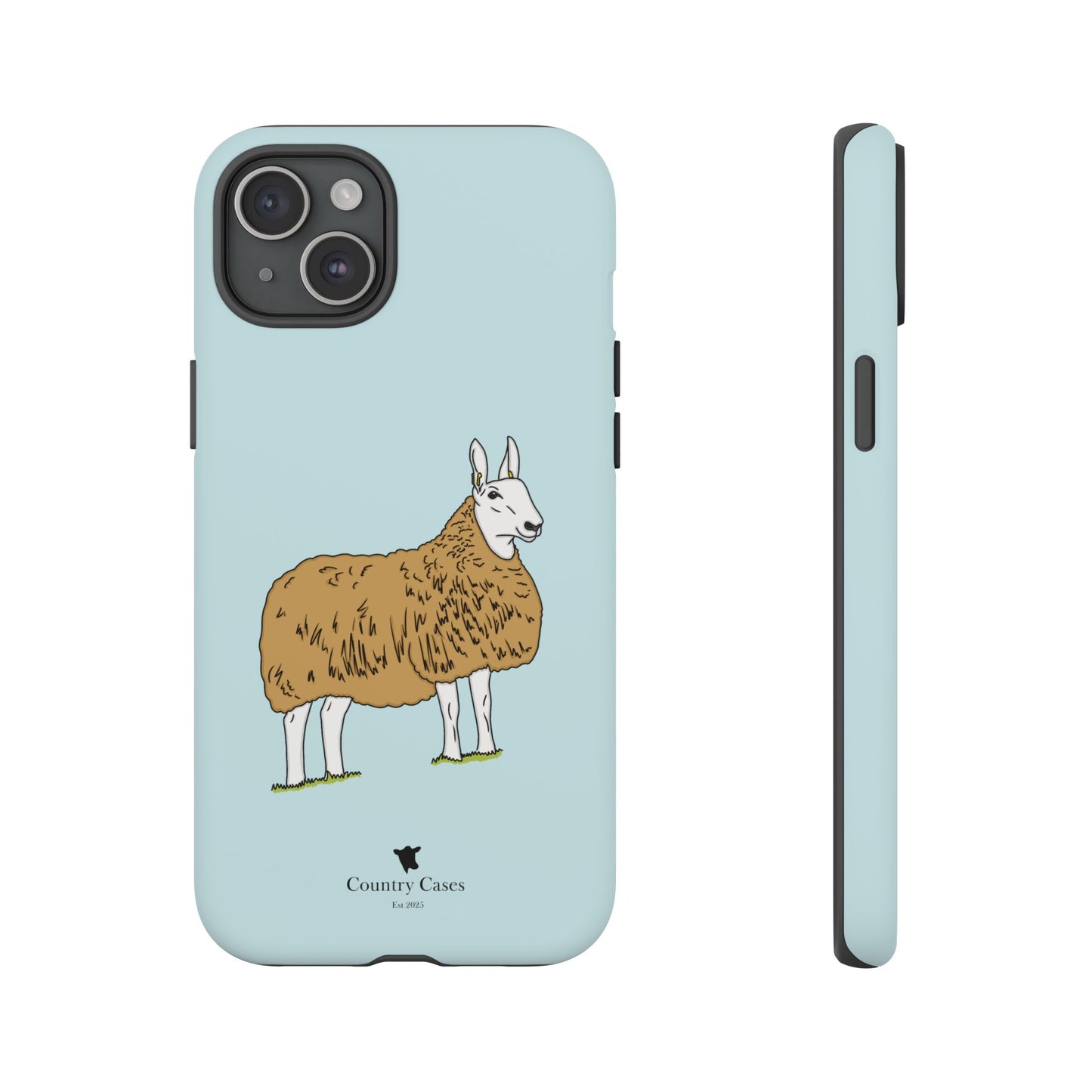 Border Leicester case