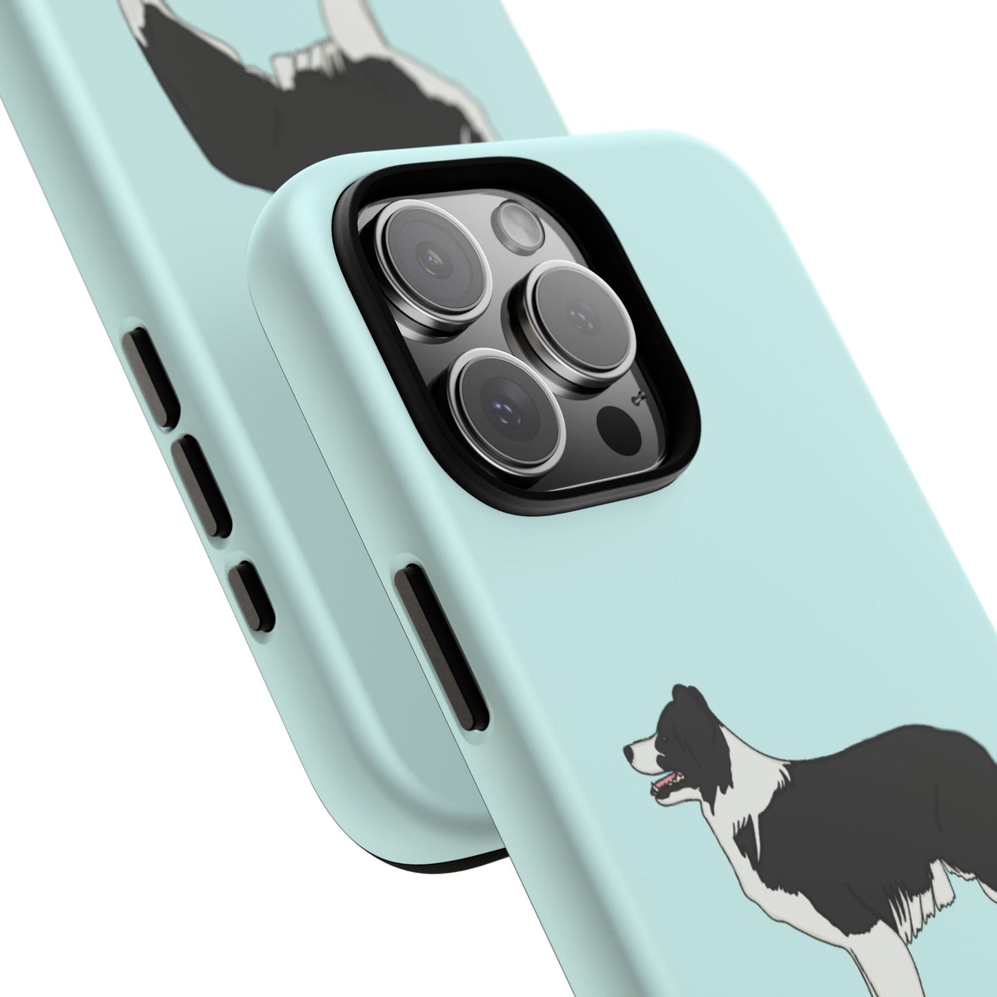 Collie case