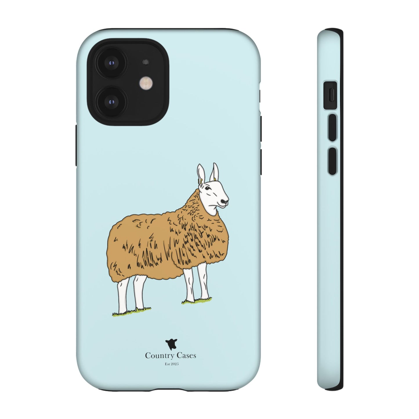 Border Leicester case