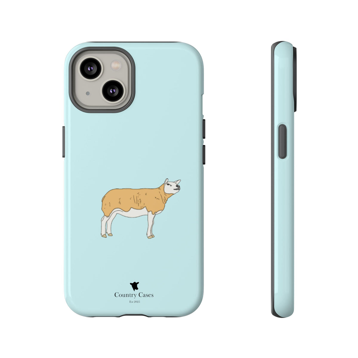 Texal Case