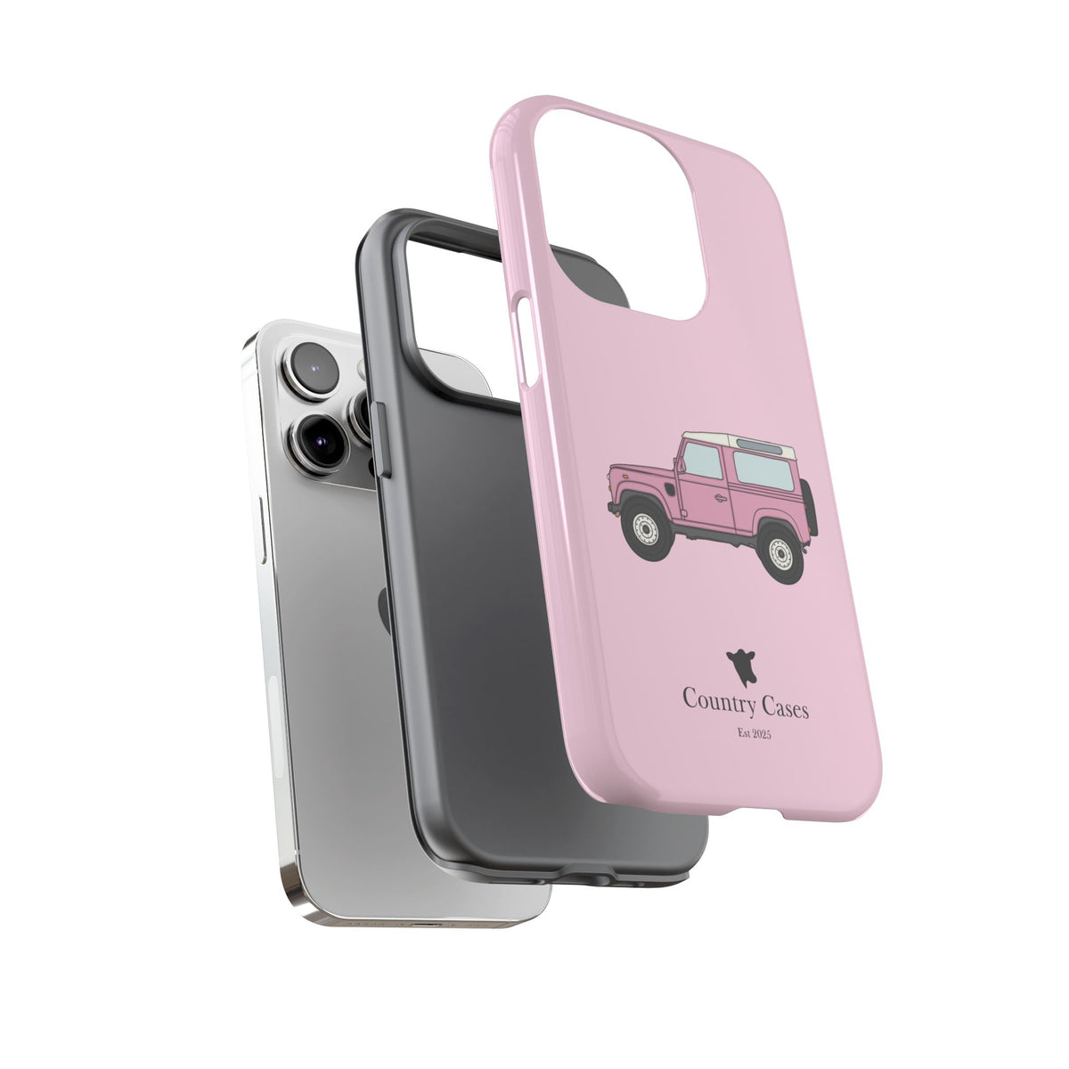Pink Landy 2.0 case