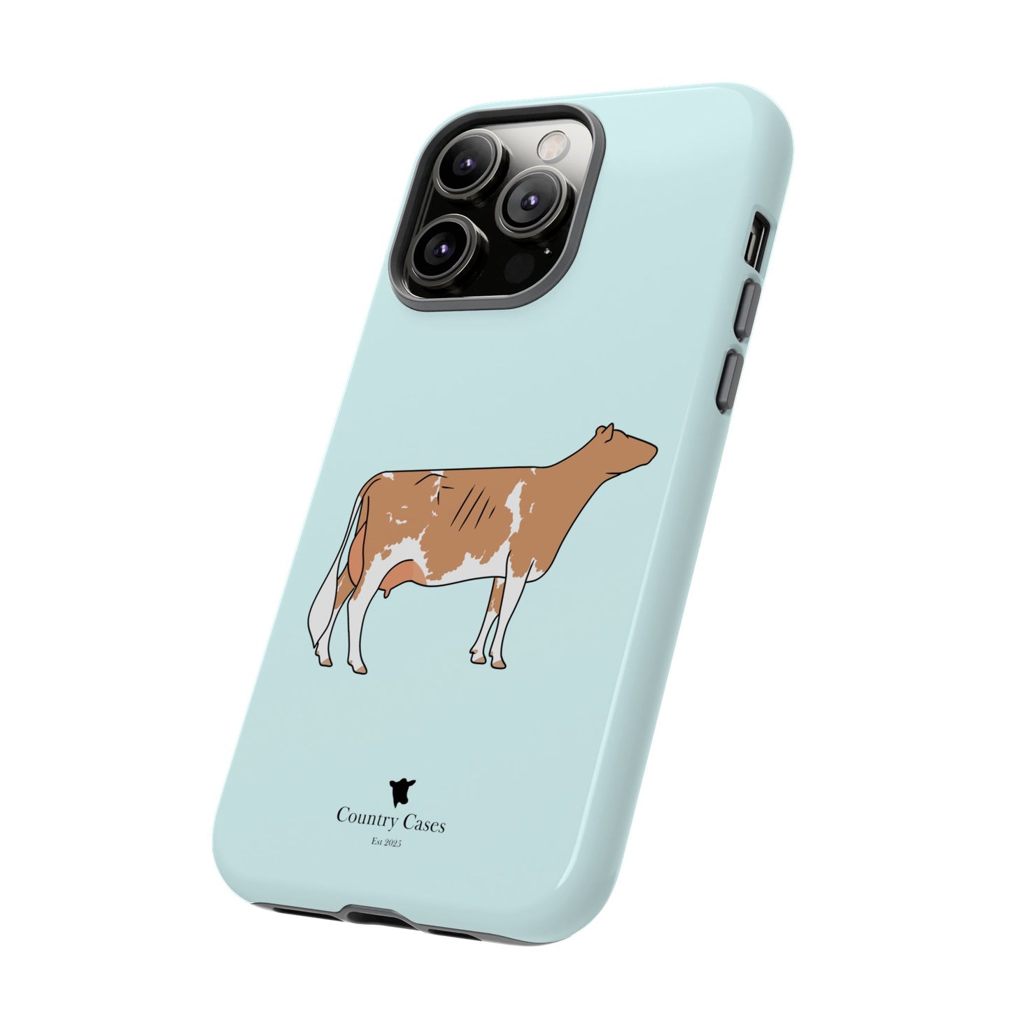 Gurnsey case