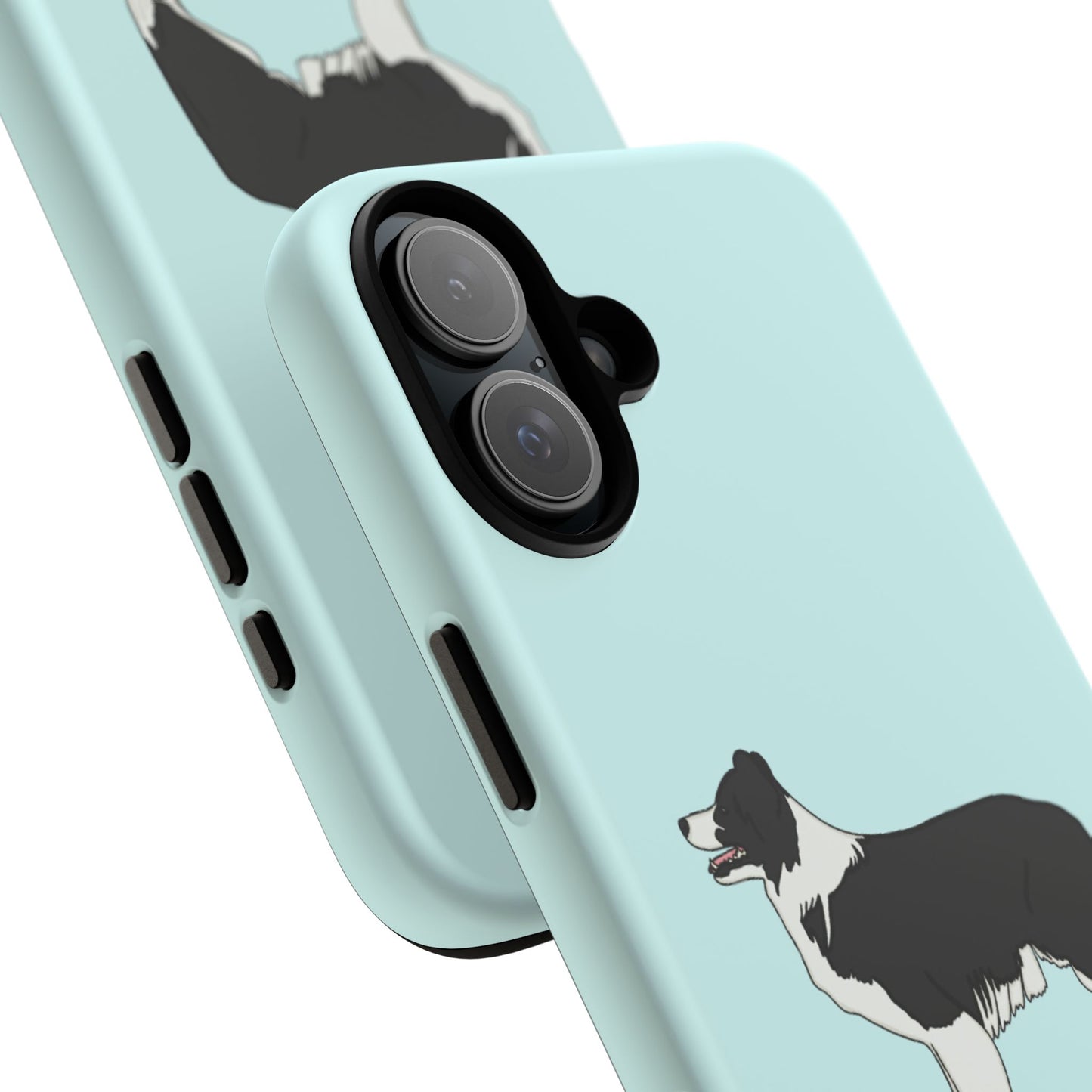 Collie case