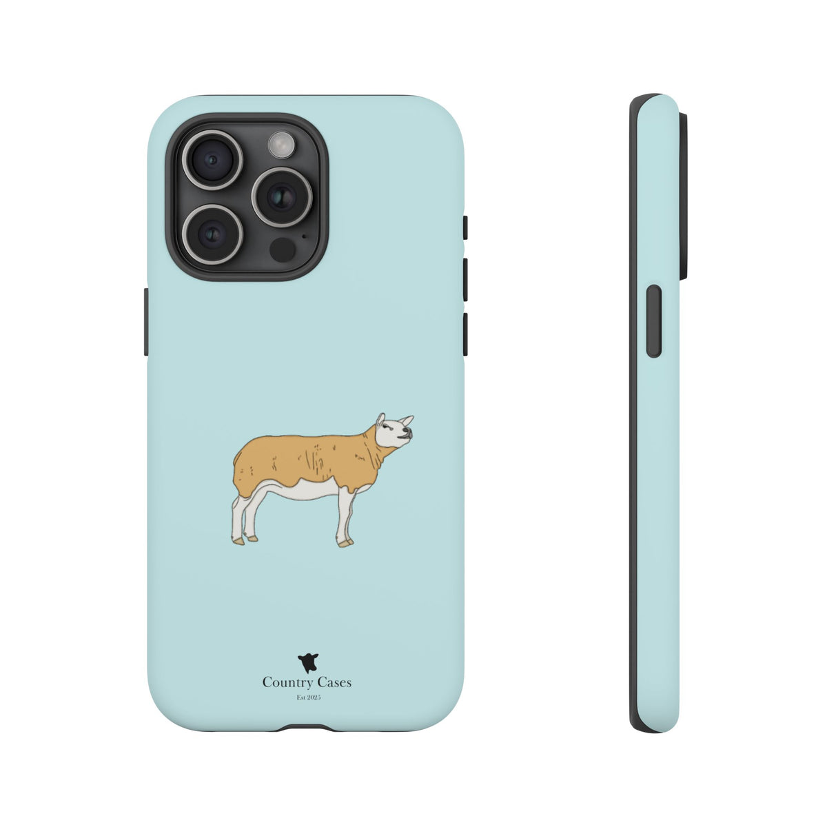 Texal Case