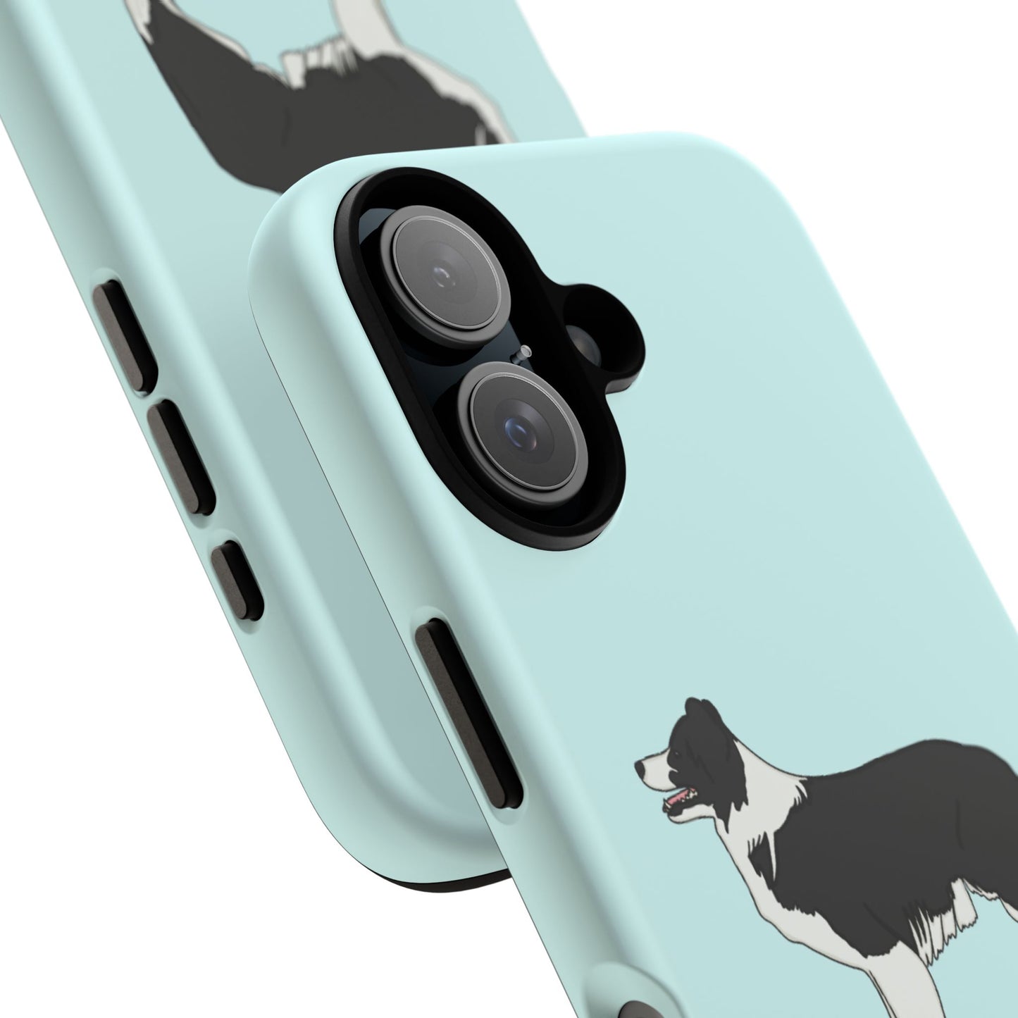 Collie case