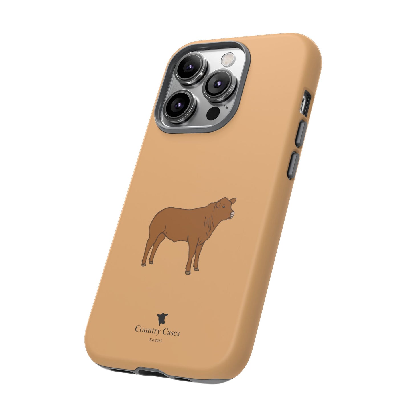 Beef Cow Case