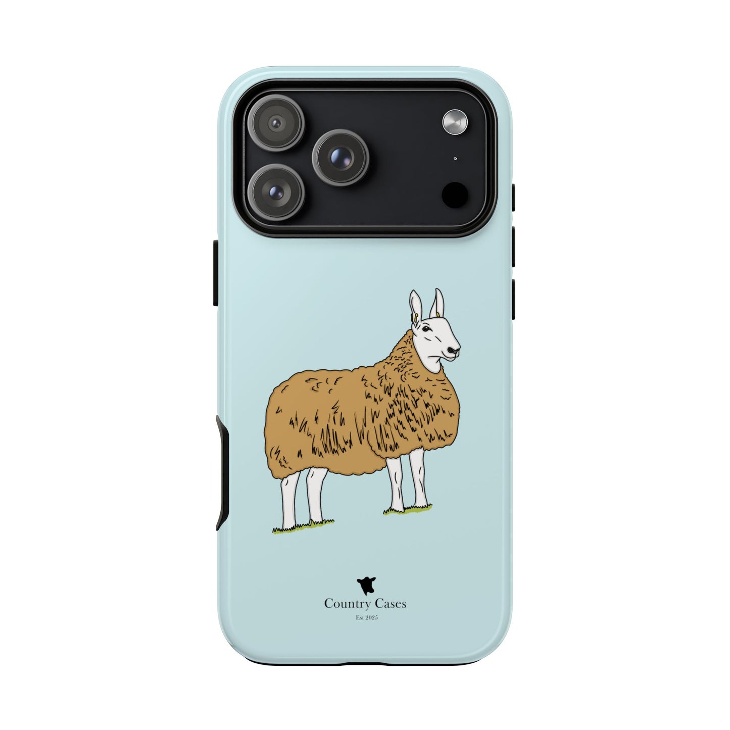 Border Leicester case