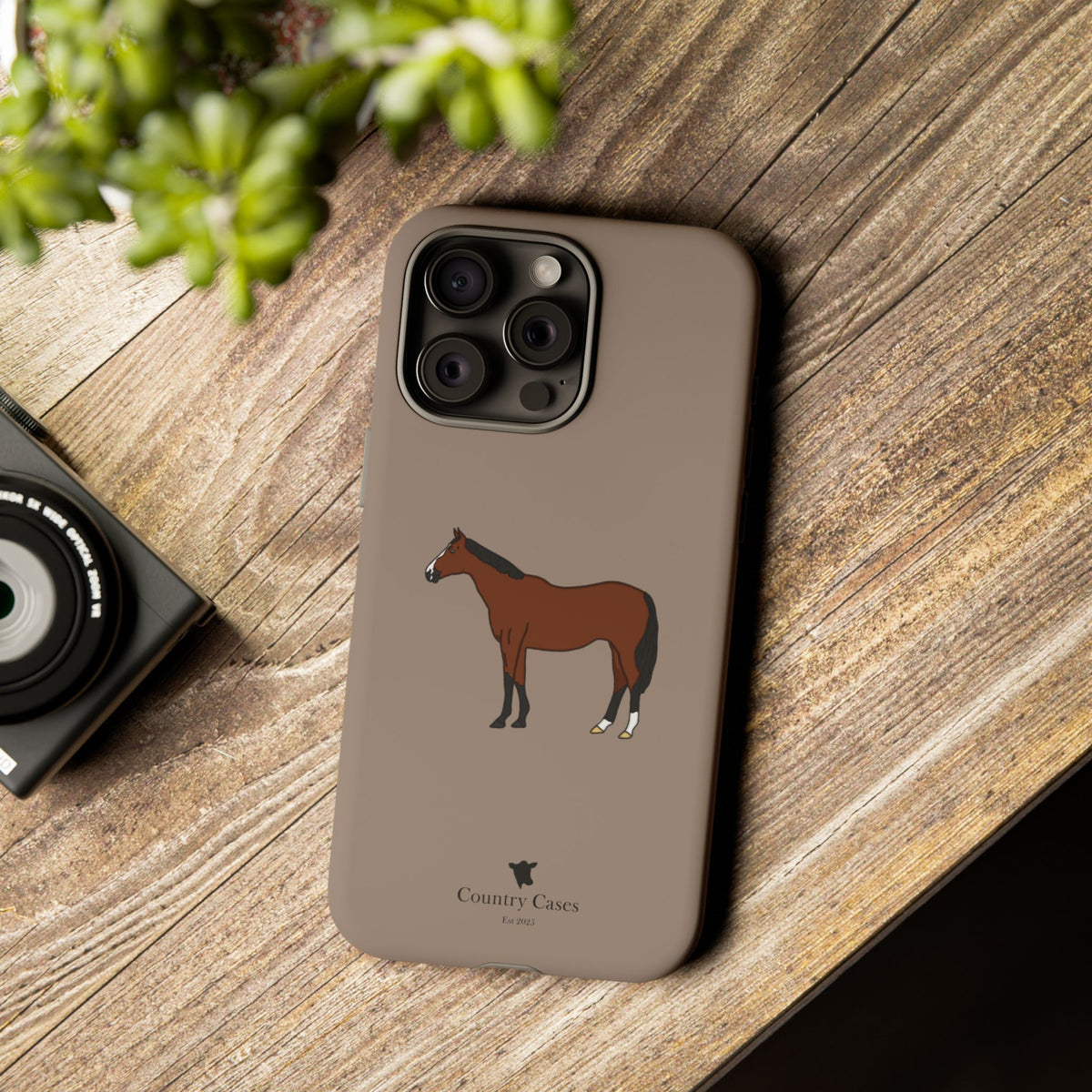 Bay Horse Case