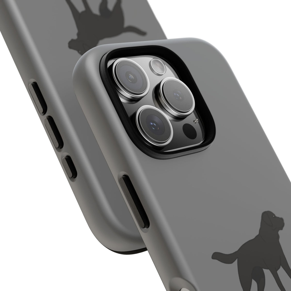 Black Labrador Case