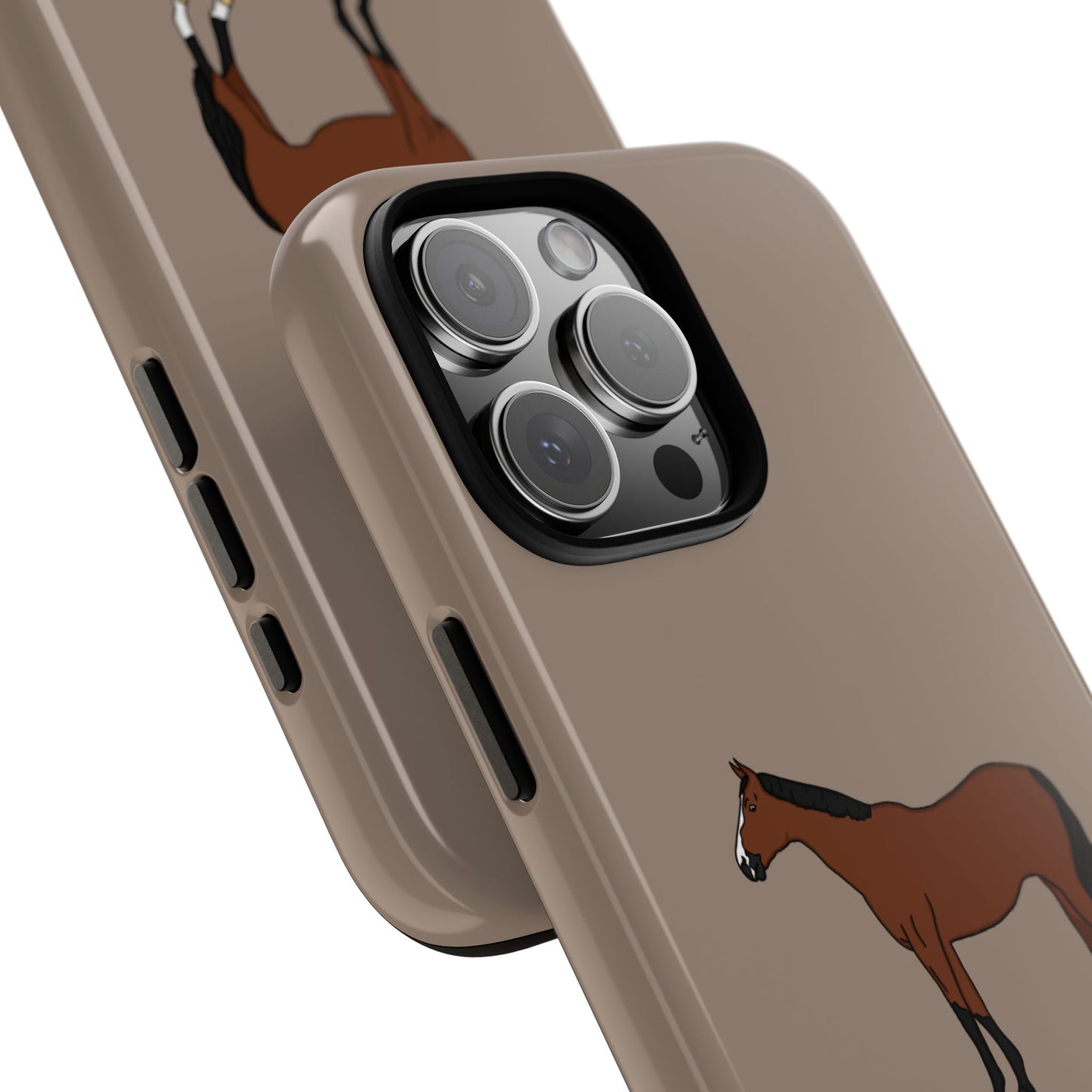 Bay horse case