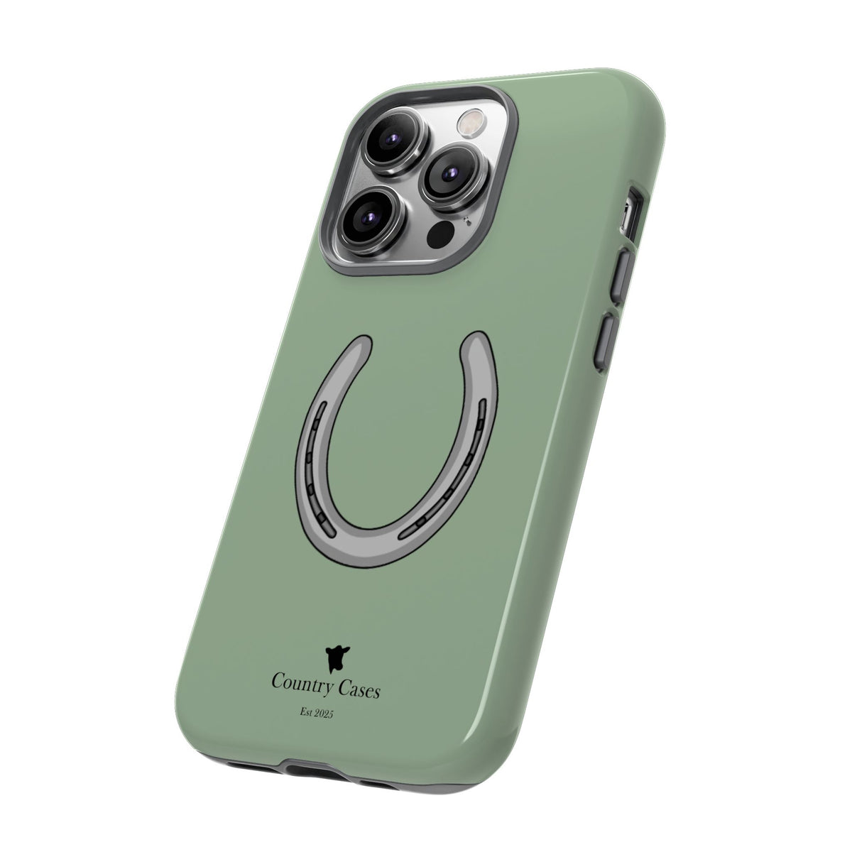 Horse Shoe Case