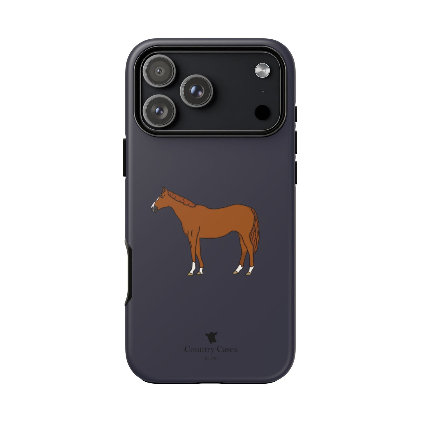 Chestnut horse case