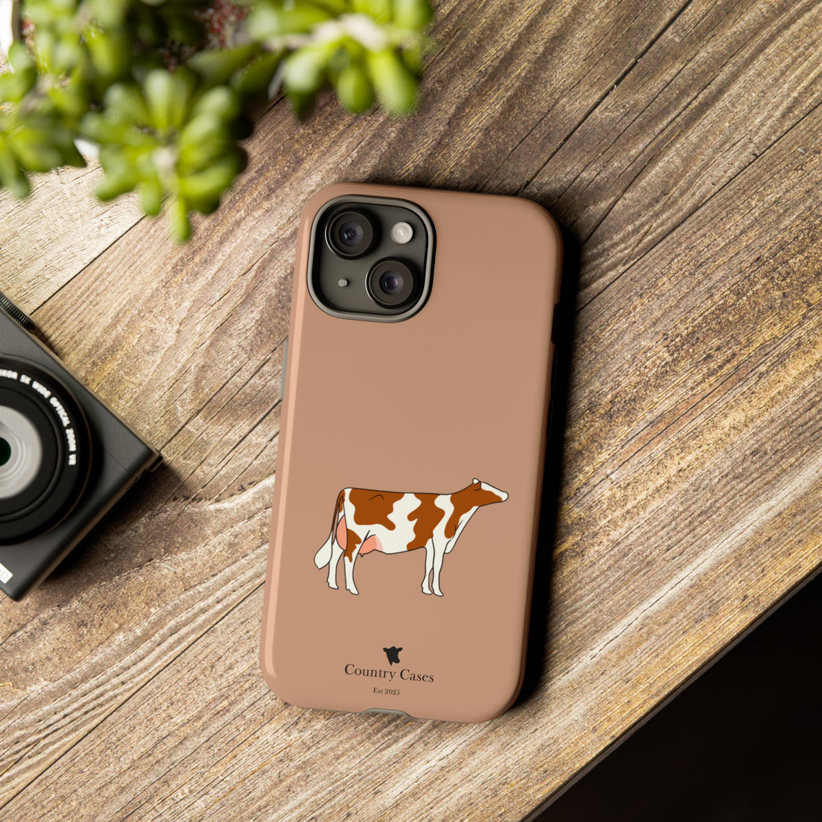 Red Holstein Case