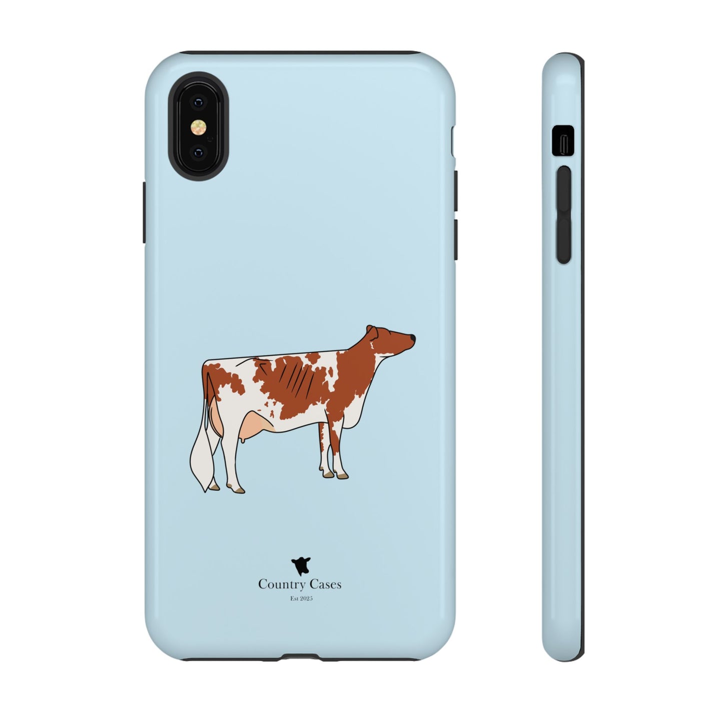 Ayrshire Case