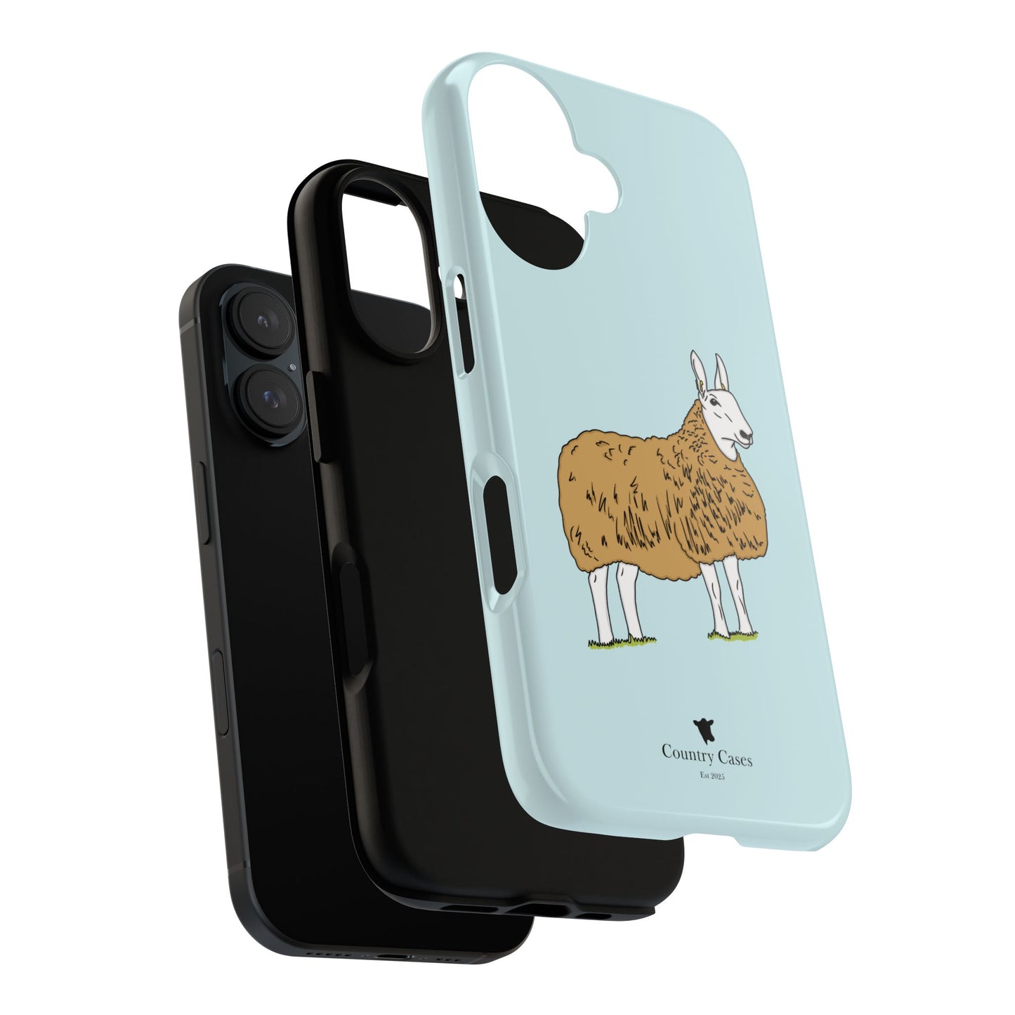 Border Leicester case