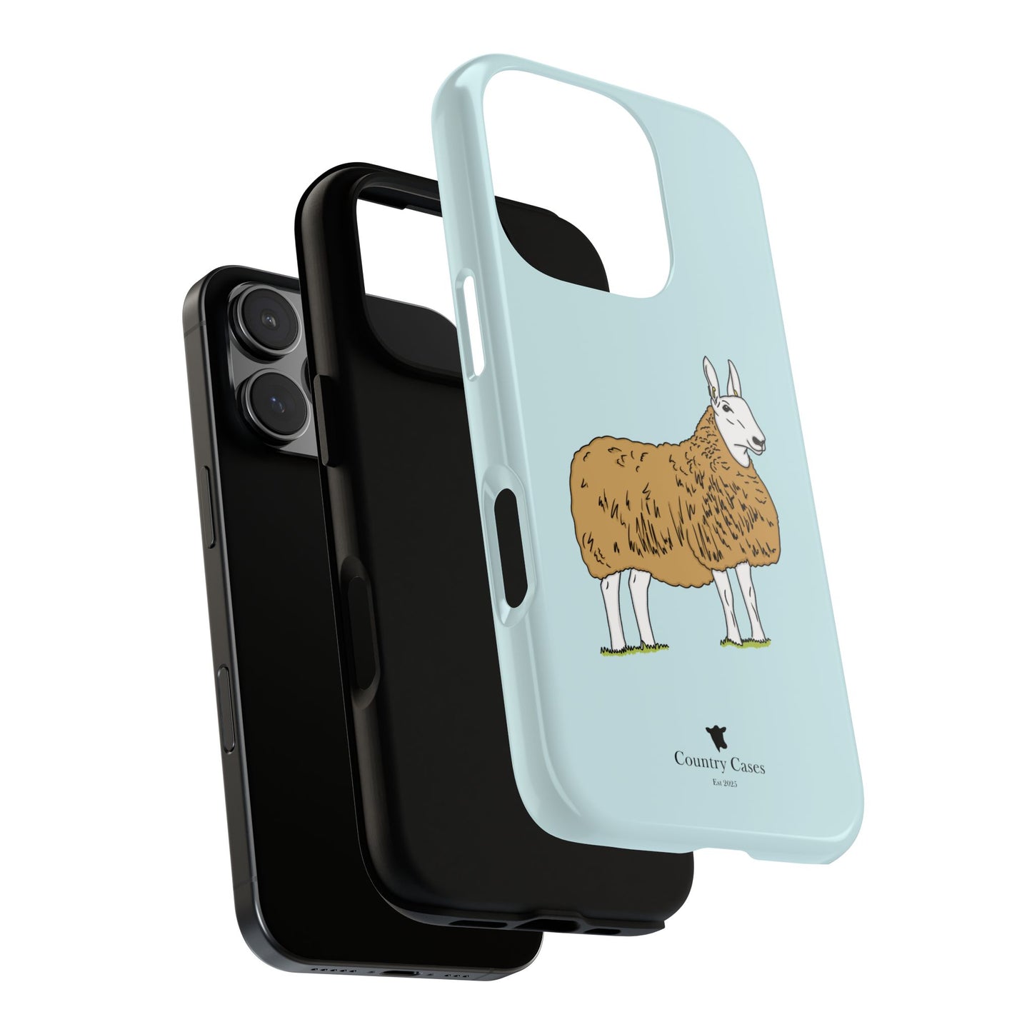 Border Leicester case