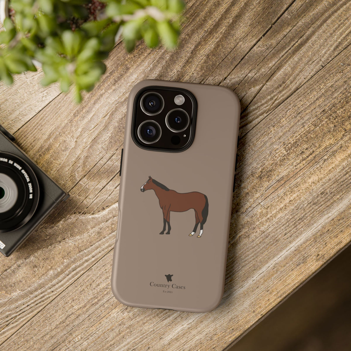 Bay Horse Case