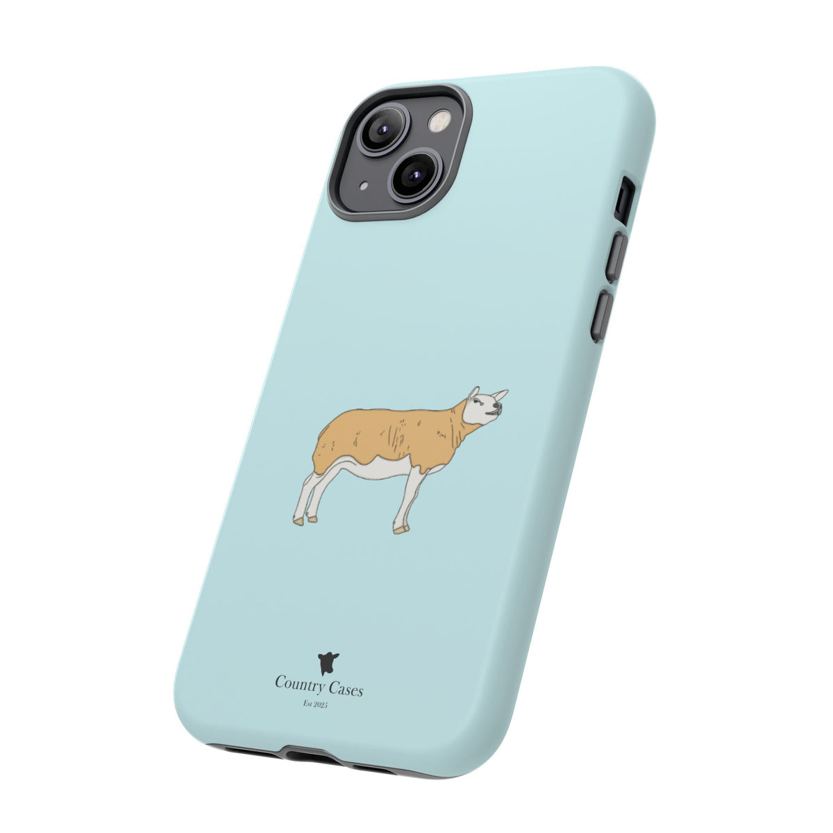 Texal Case