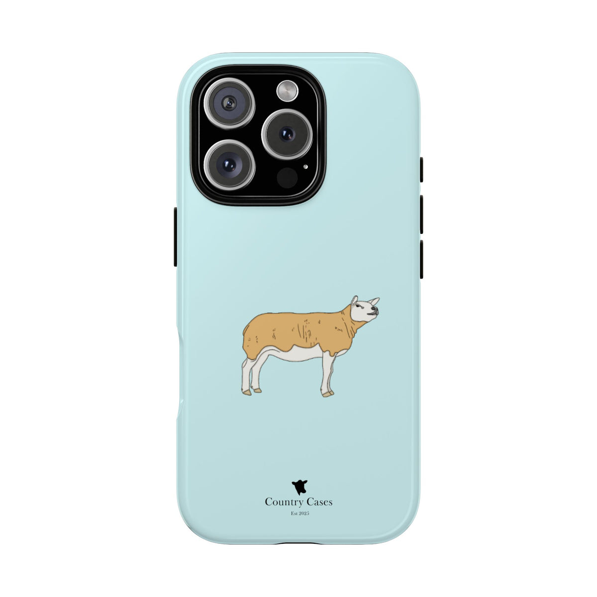 Texal Case