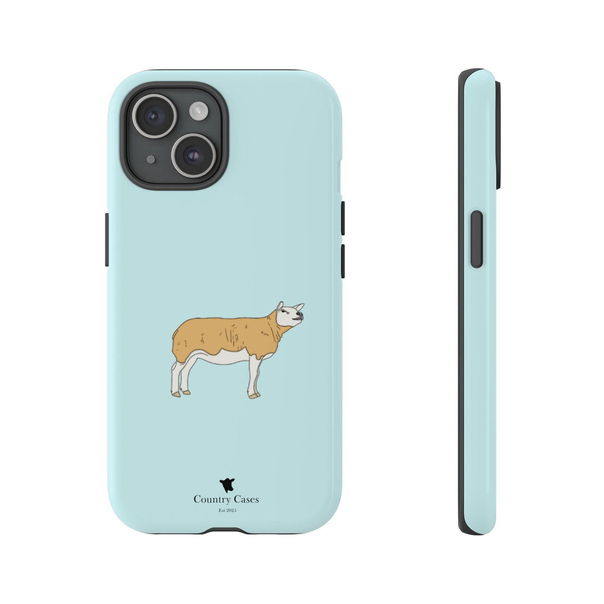 Texal Case