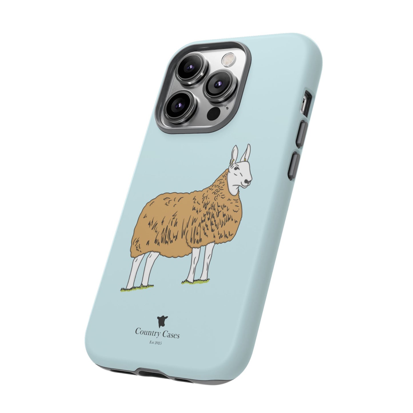 Border Leicester case
