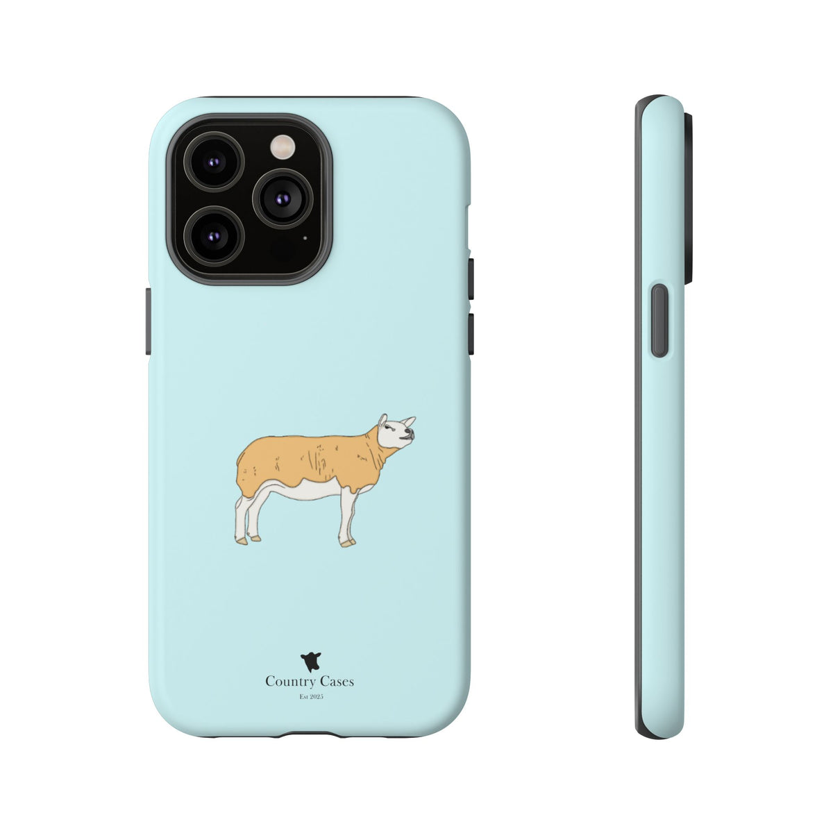 Texal Case