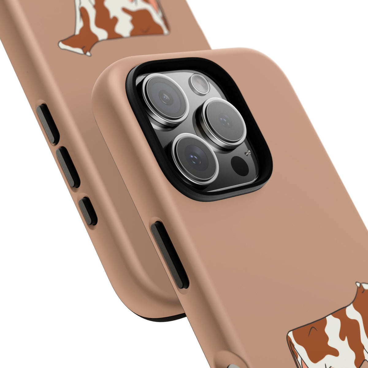 Red Holstein Case