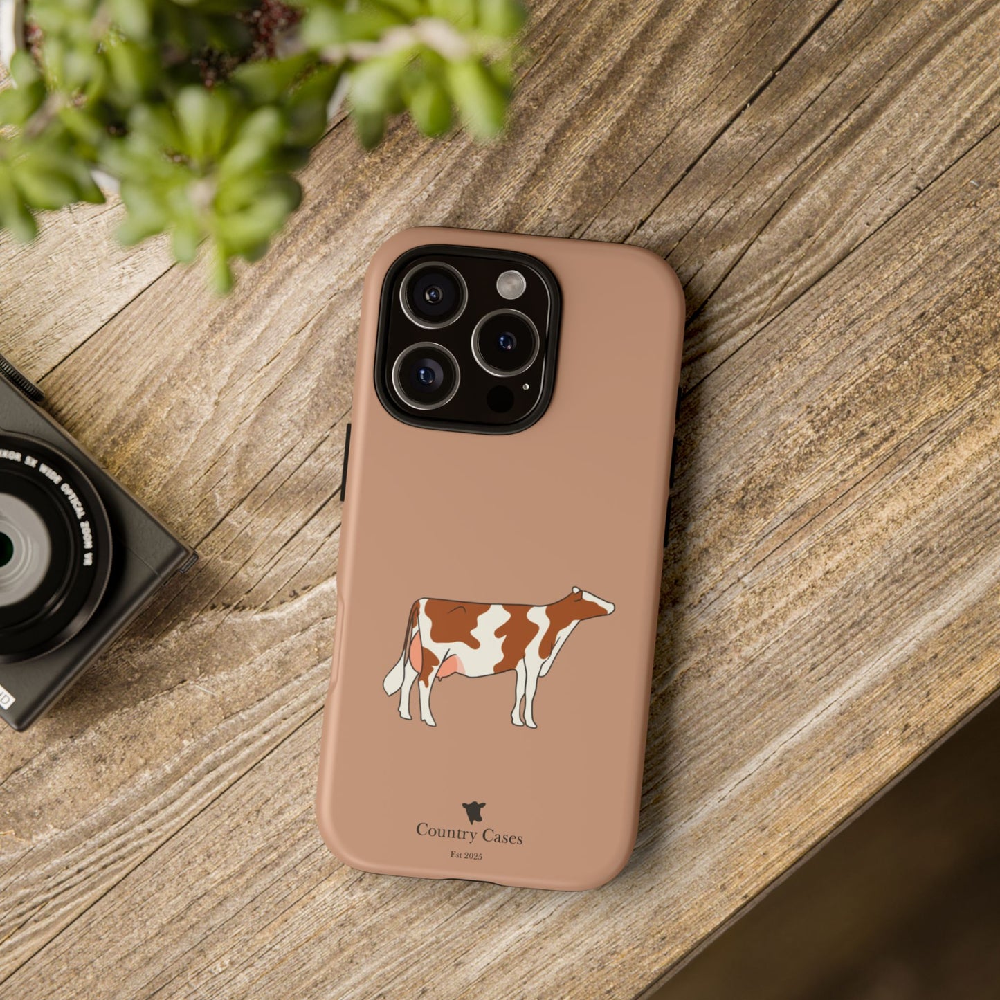 Red and white Holstein case