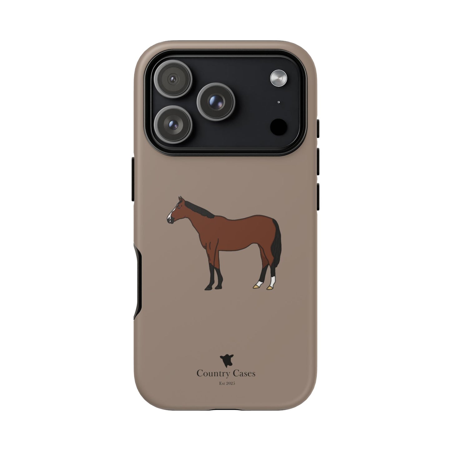 Bay horse case