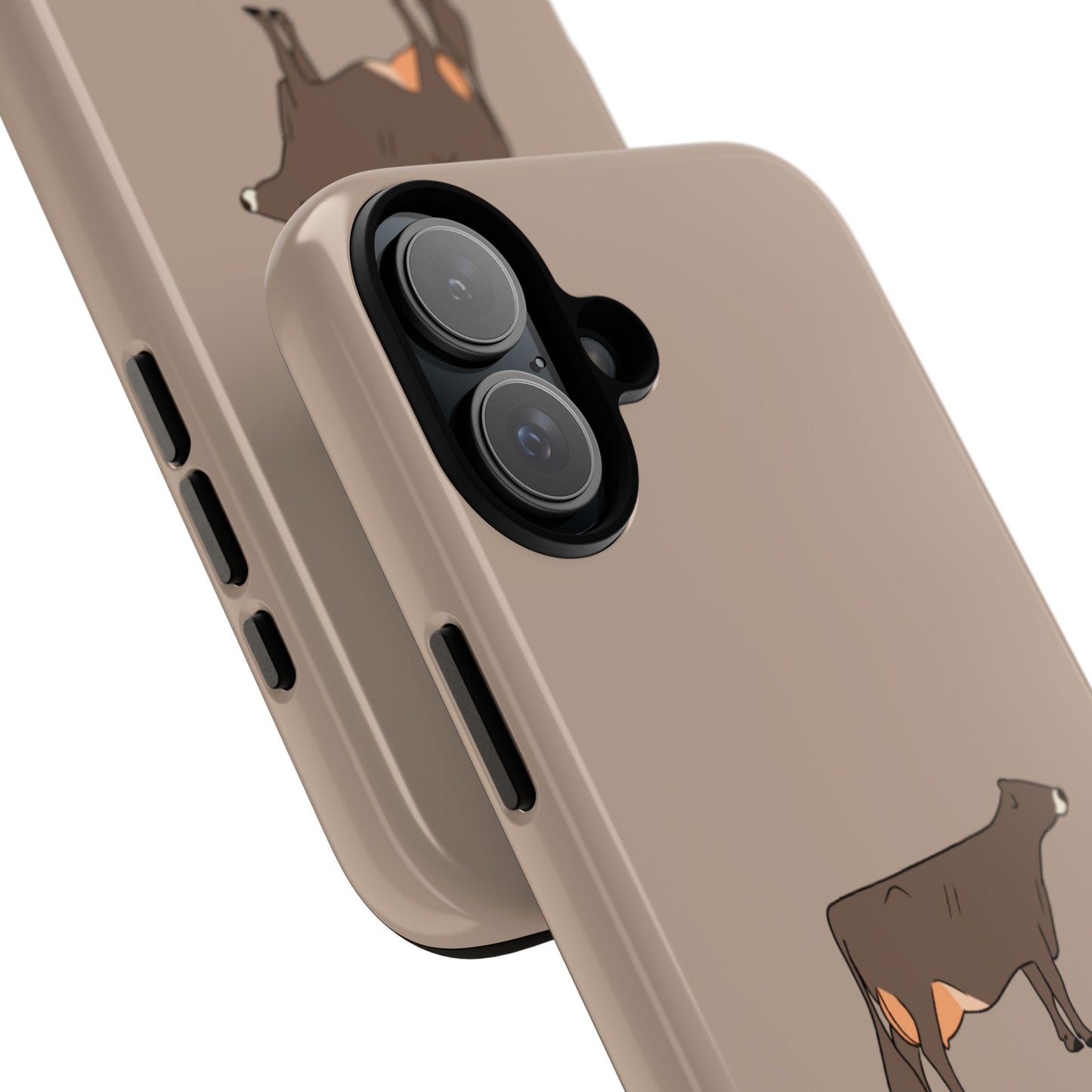 Brown Swiss case