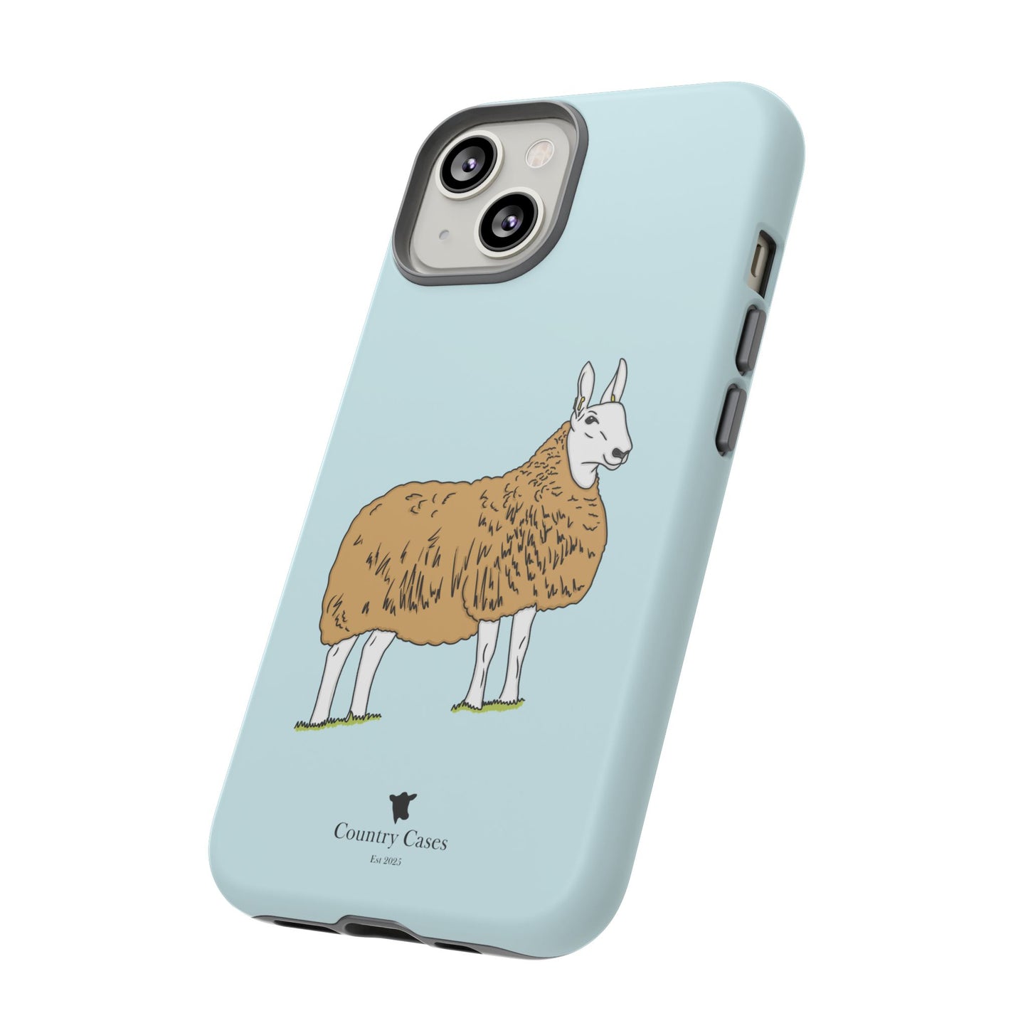 Border Leicester case