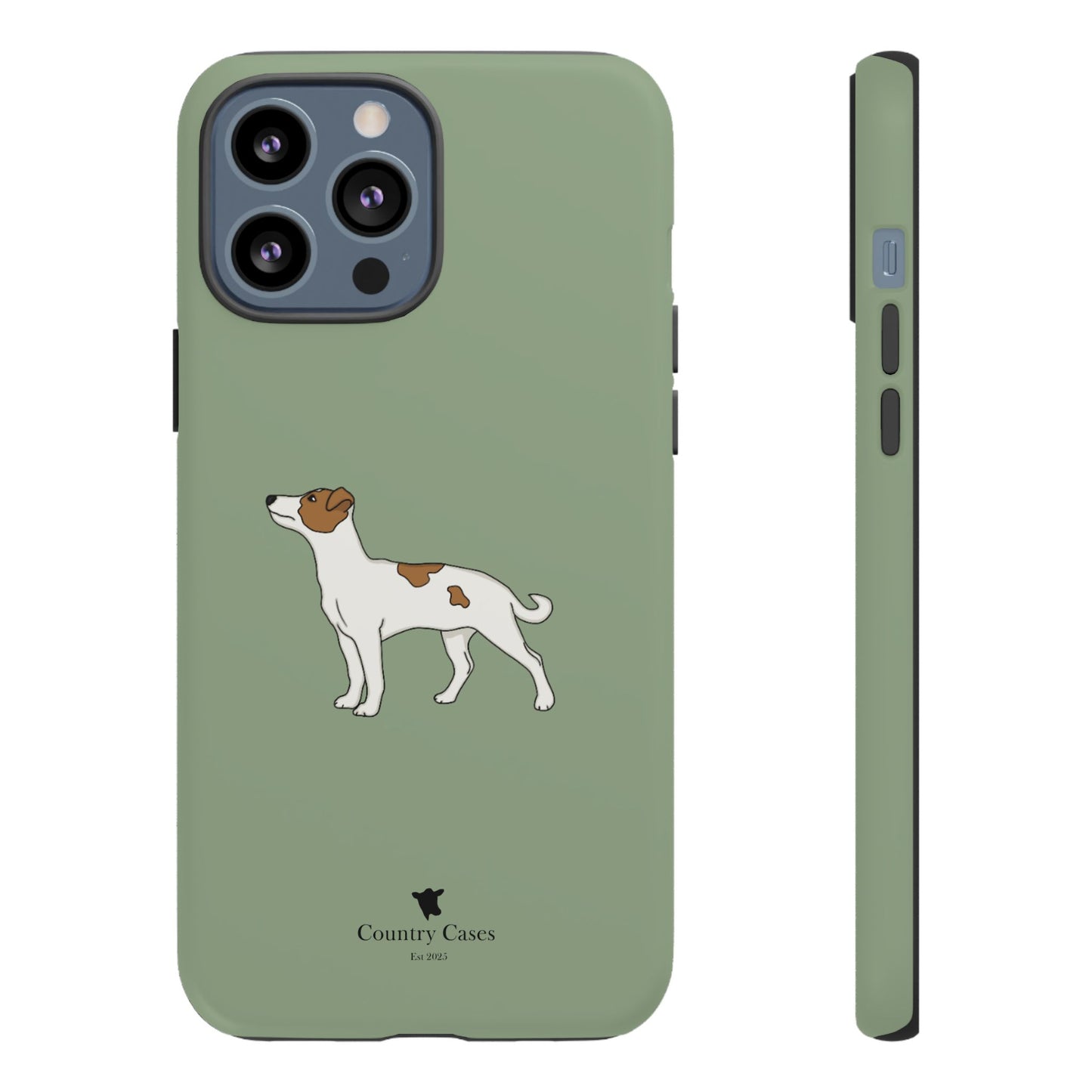 Jack Russell terrier case