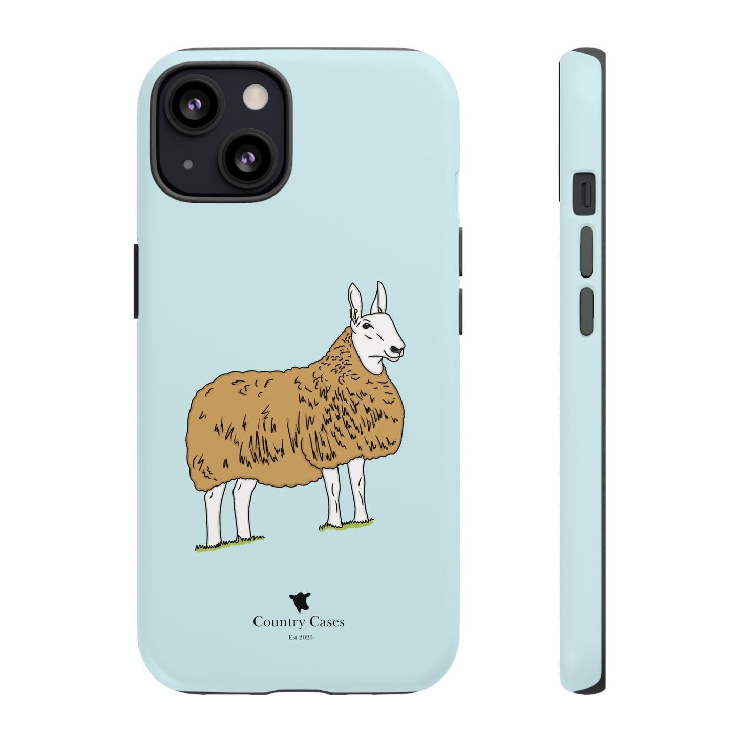 Border Leicester case