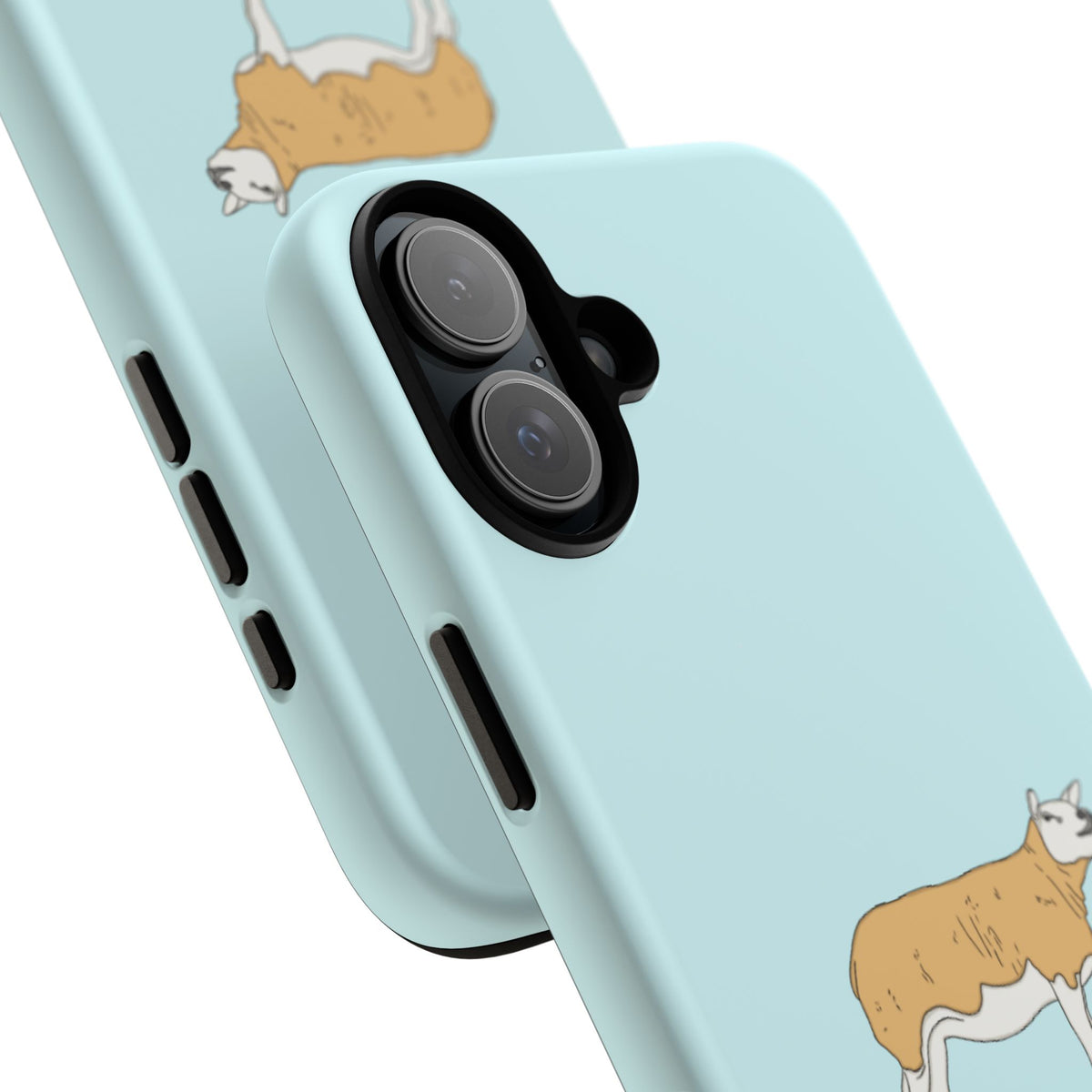 Texal Case